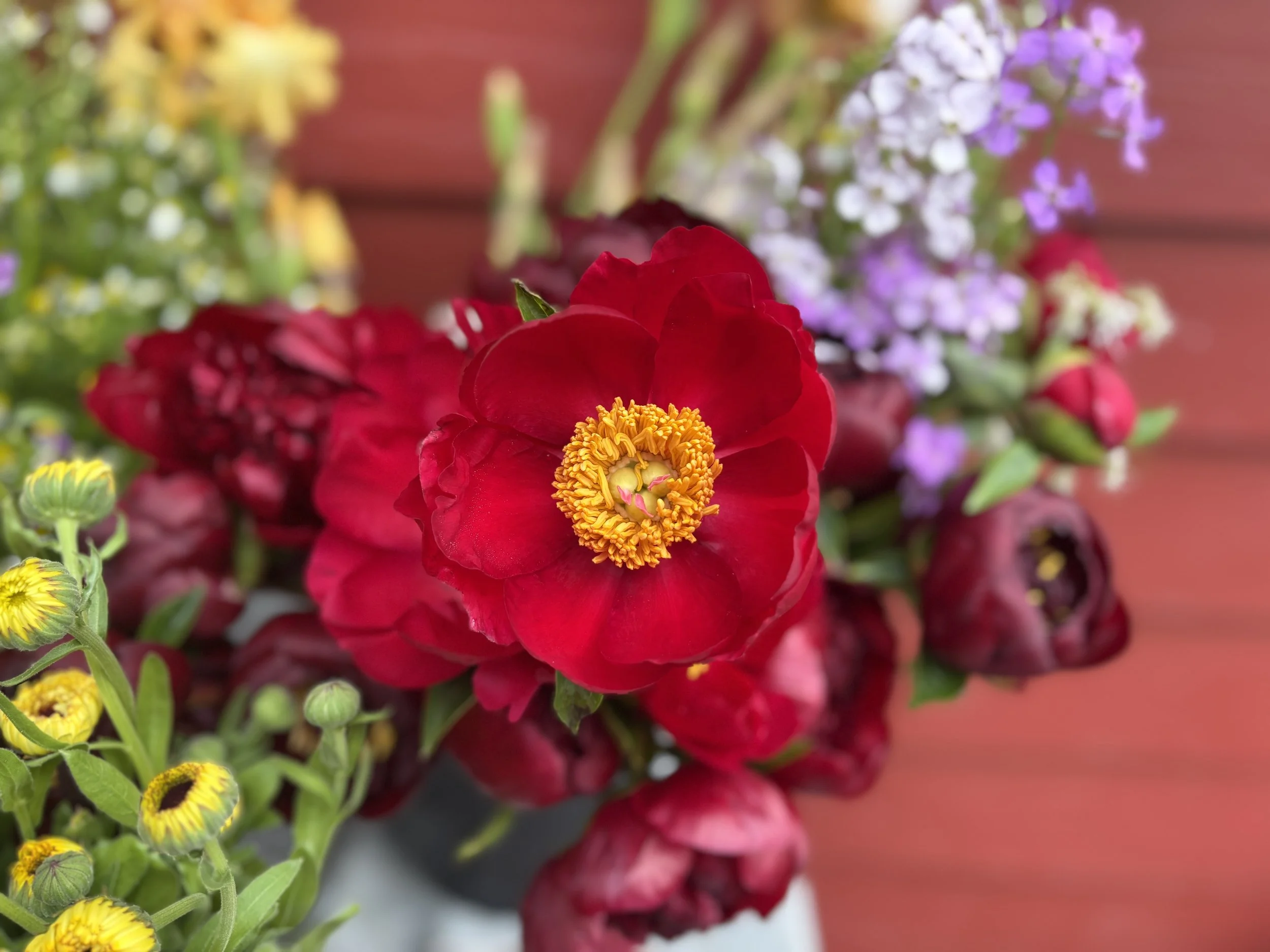 Cultivating the Garden Within
