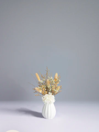 Screen Shot 2026-04-13 at 12.17.38 PM.png