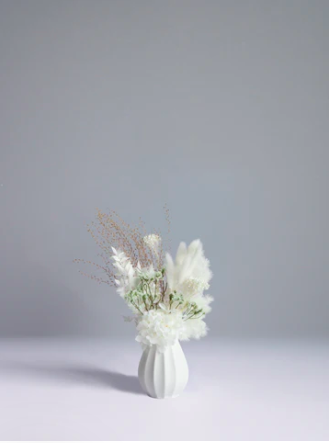 Screen Shot 2026-04-13 at 12.18.55 PM.png