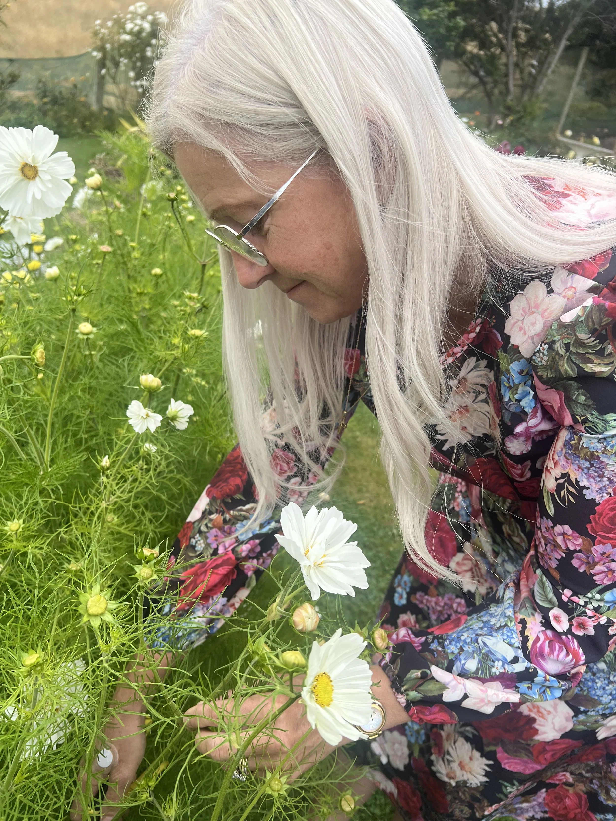 Woman with long silver hair and glasses wearing a floral dress, tending to white and yellow flowers in a garden.