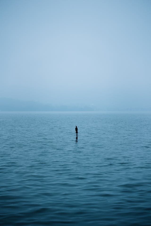 person standing way out in blue water