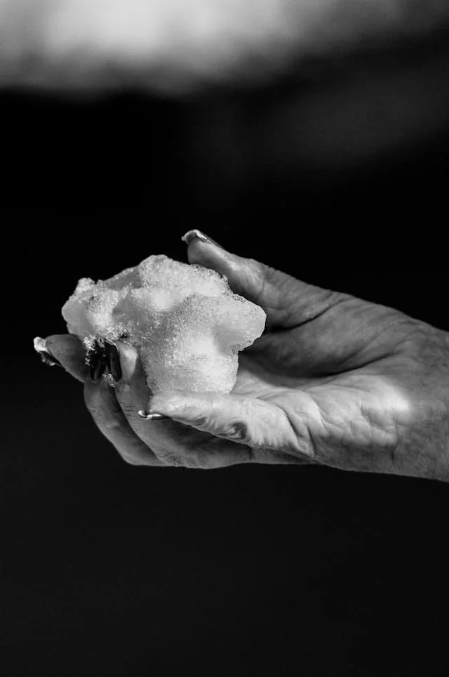 black and white photo of a hand holding ice