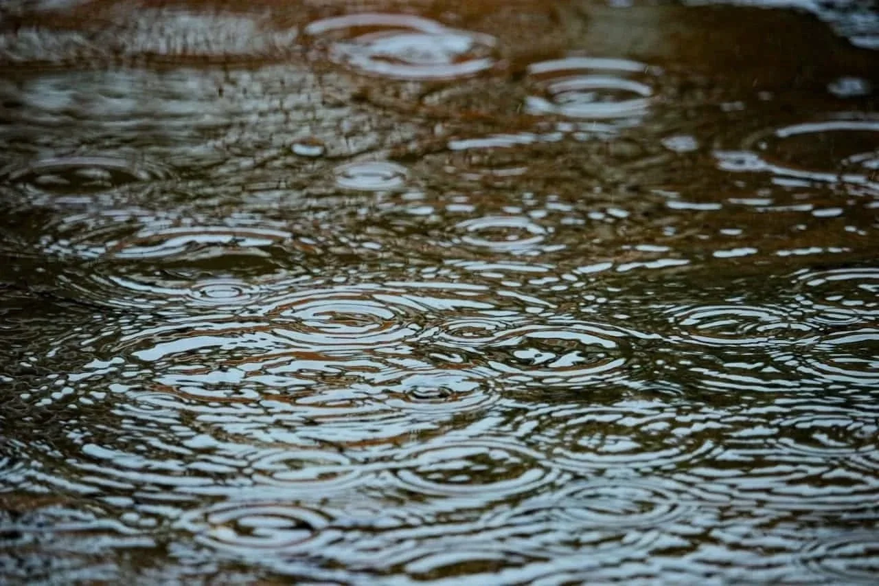 rain drops in a puddle