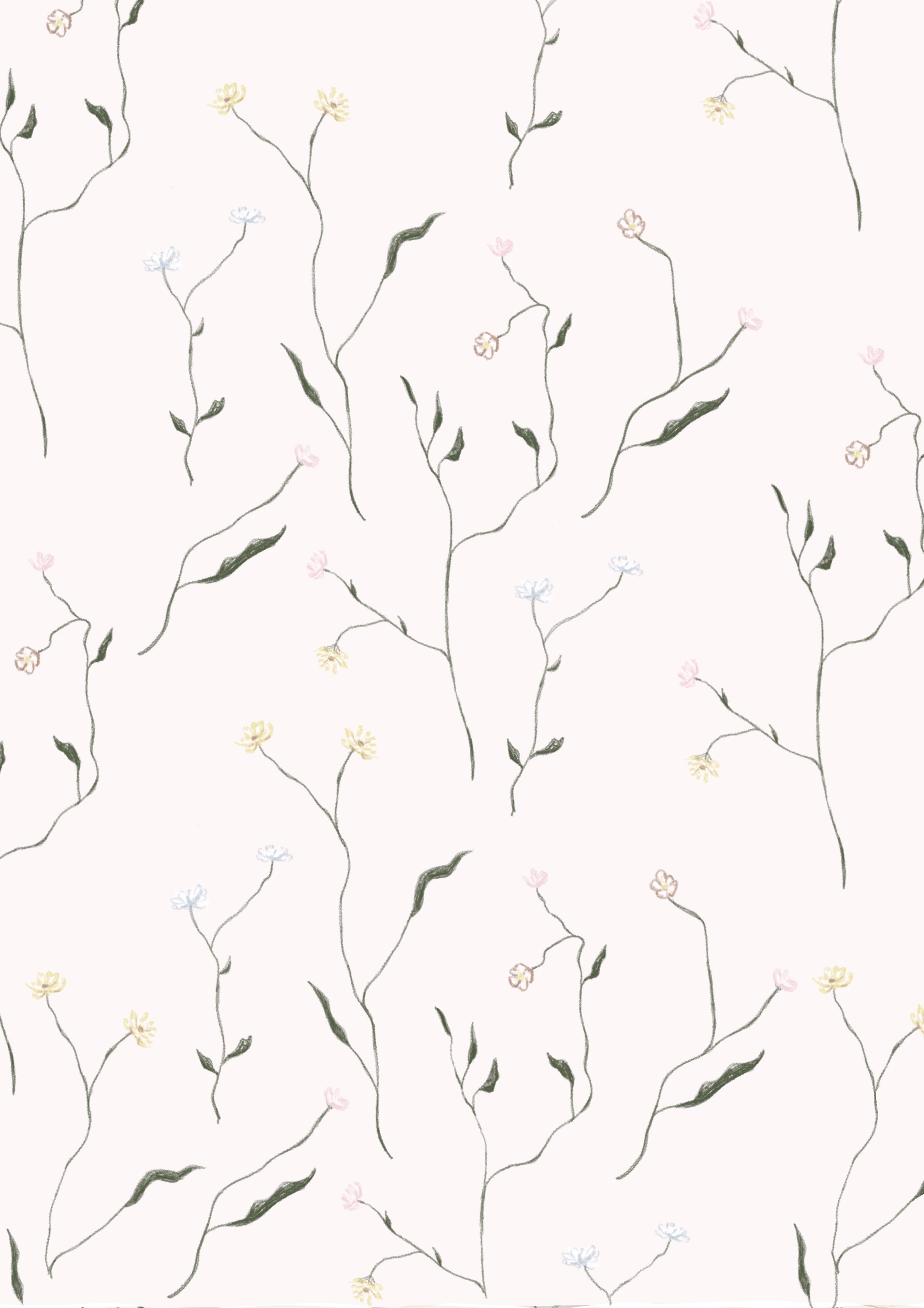 Morning Meadow