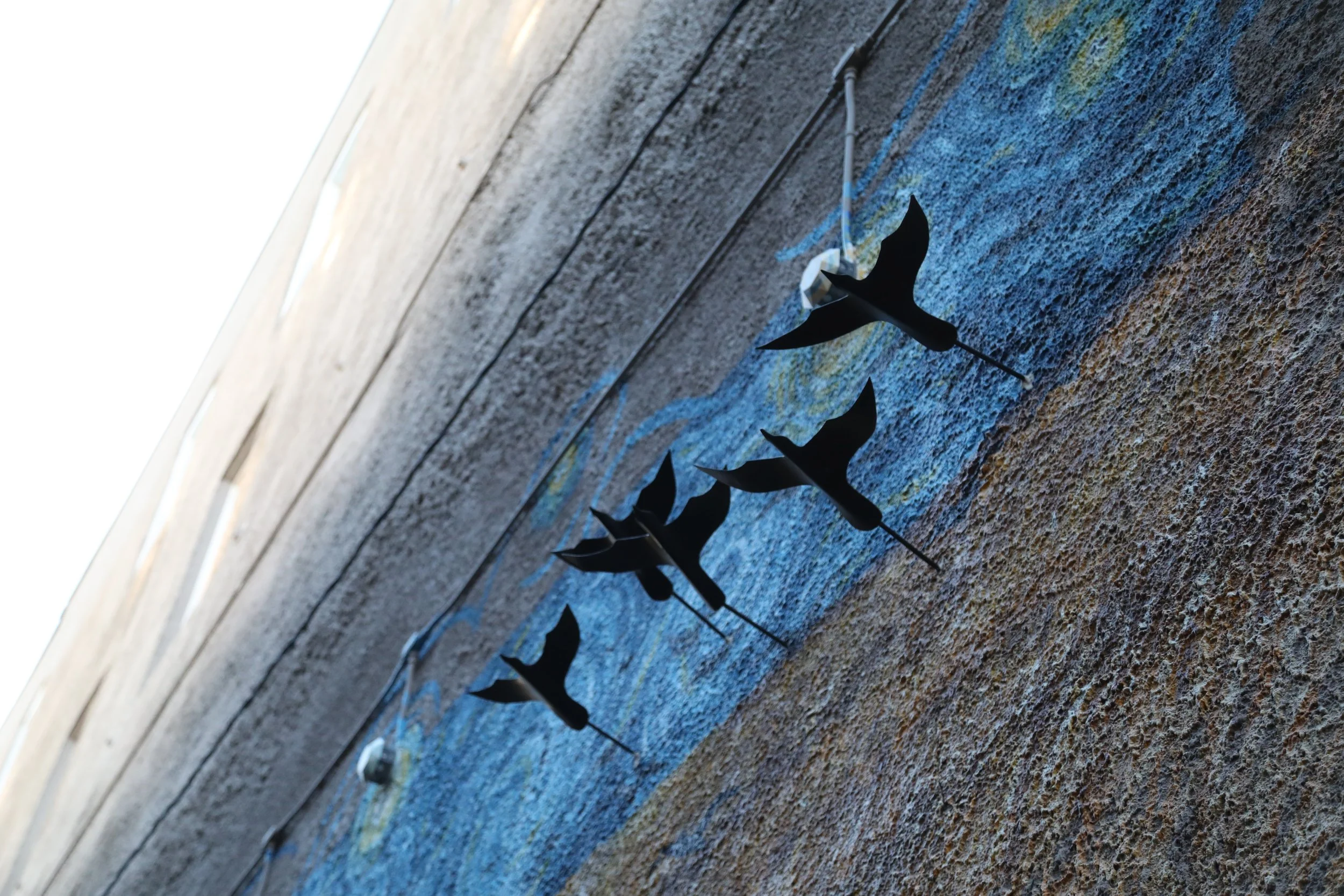Birds.JPG