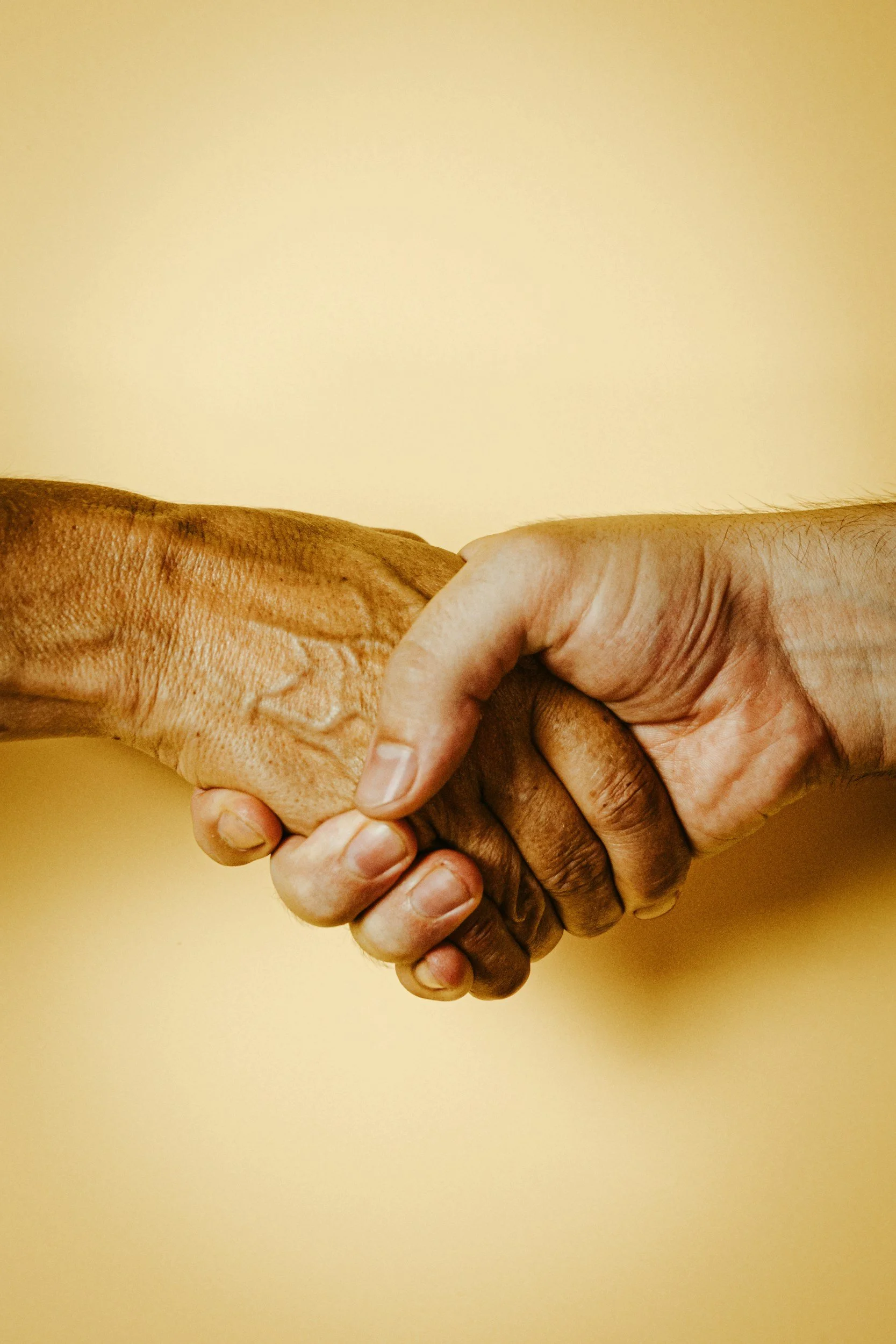 Two hands, one dark-skinned and one light-skinned, clasped in a handshake against a plain, light-colored background.