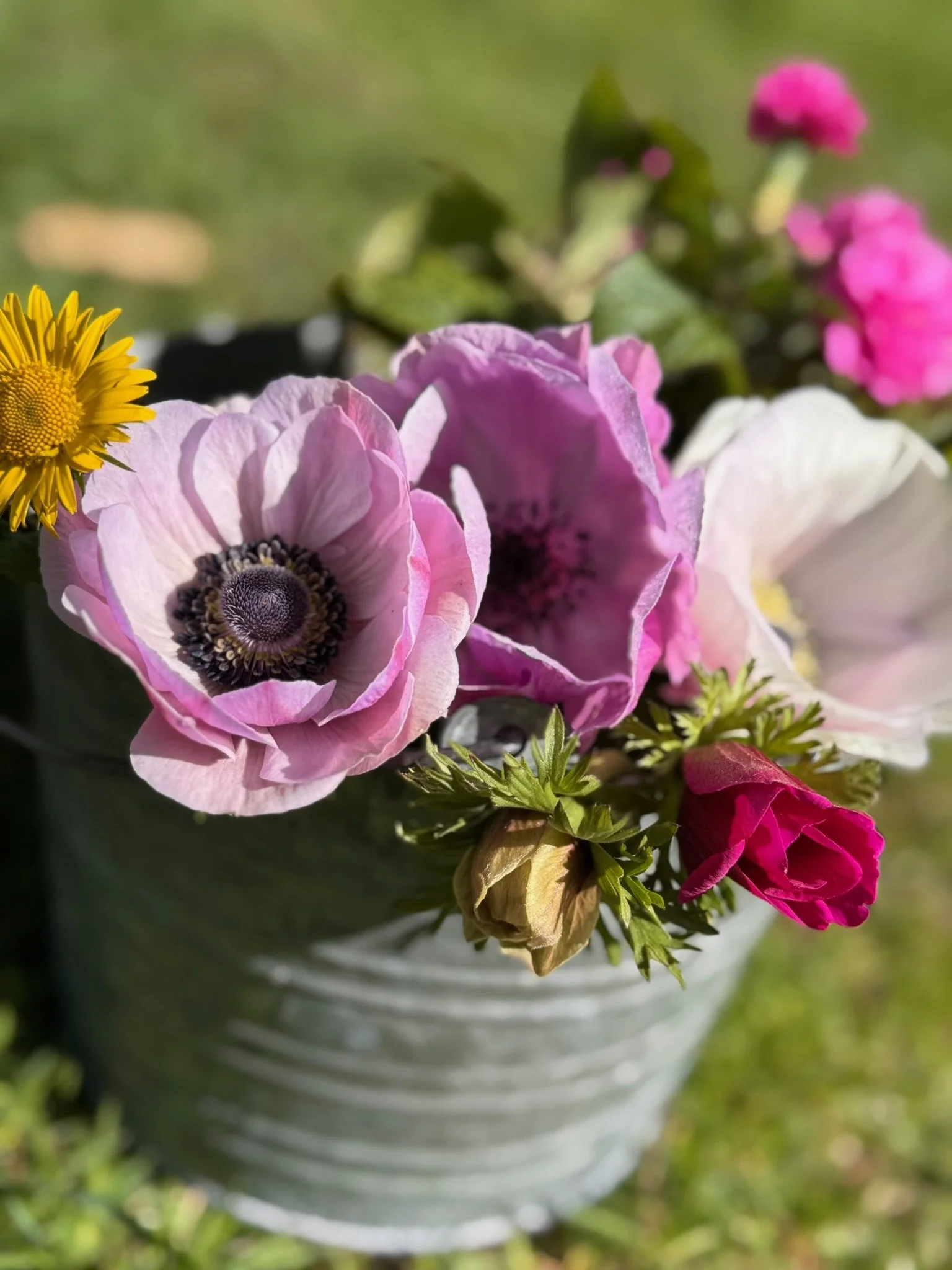 Mother's Day Pop Up