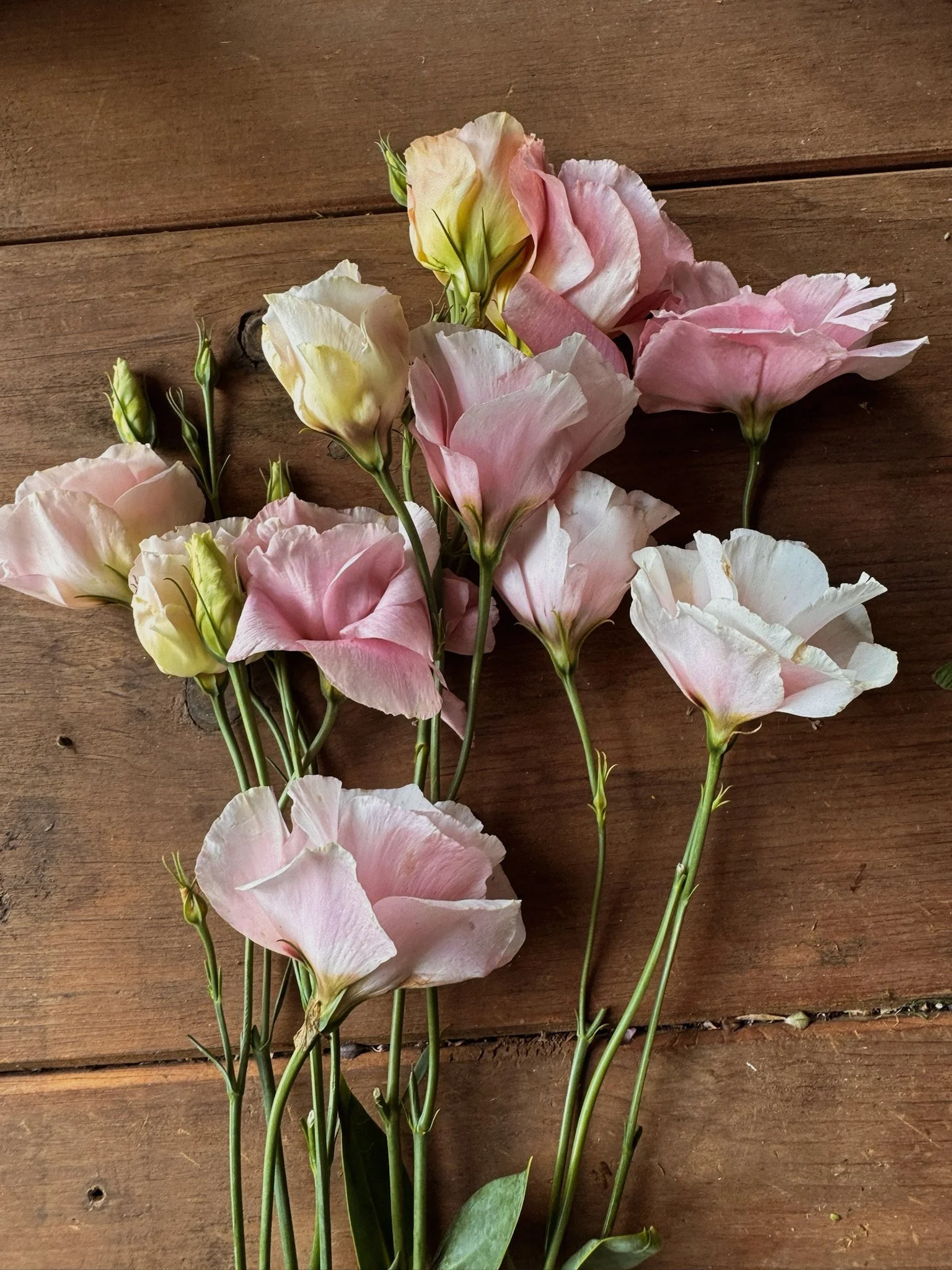 A bunch of light pink and white flowers, likely sweet peas, arranged on a wooden surface.
