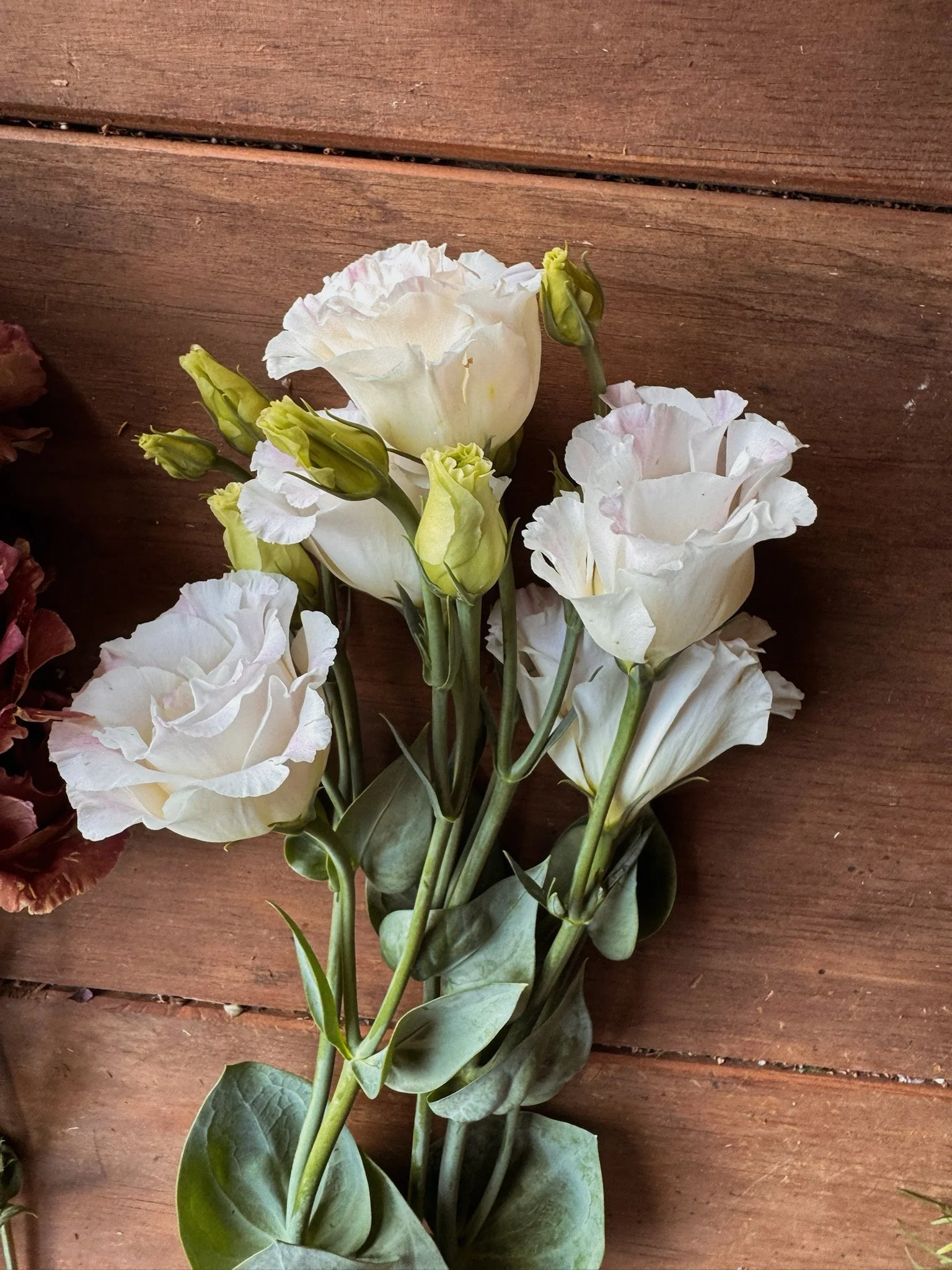 A bouquet of white lisianthus flowers with green buds, lying on a wooden surface.