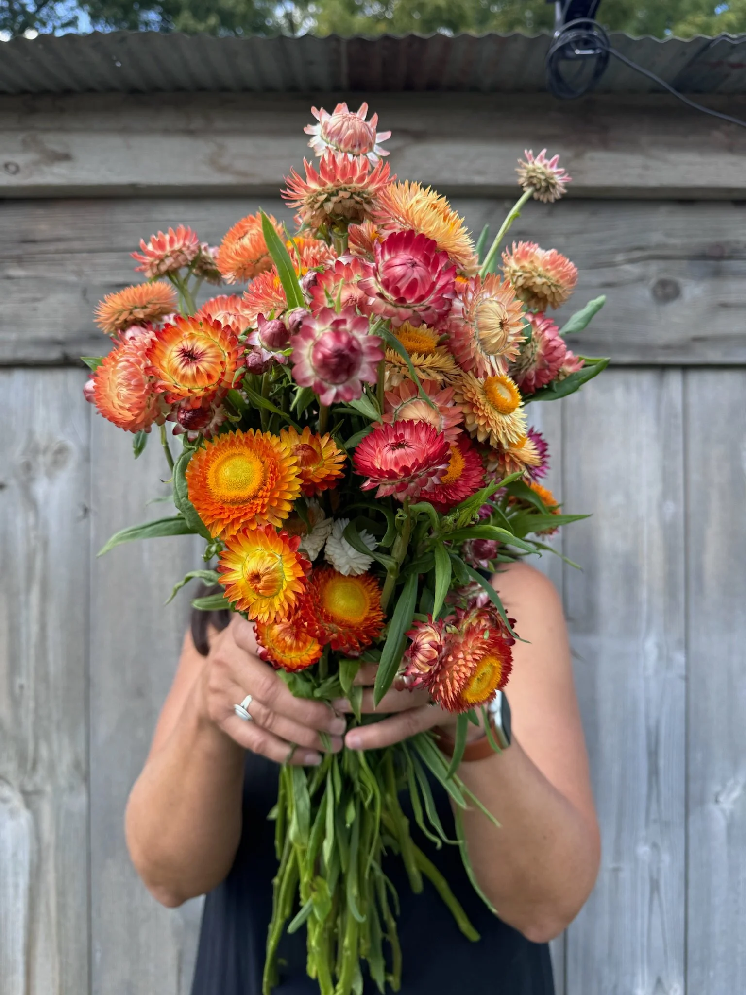 Person holding a large bouquet of colorful flowers in front of a wooden fence and shed roof.
