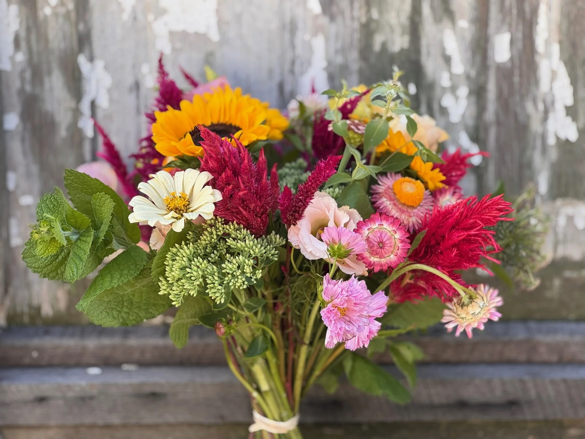 12 Week Bouquet Subscription