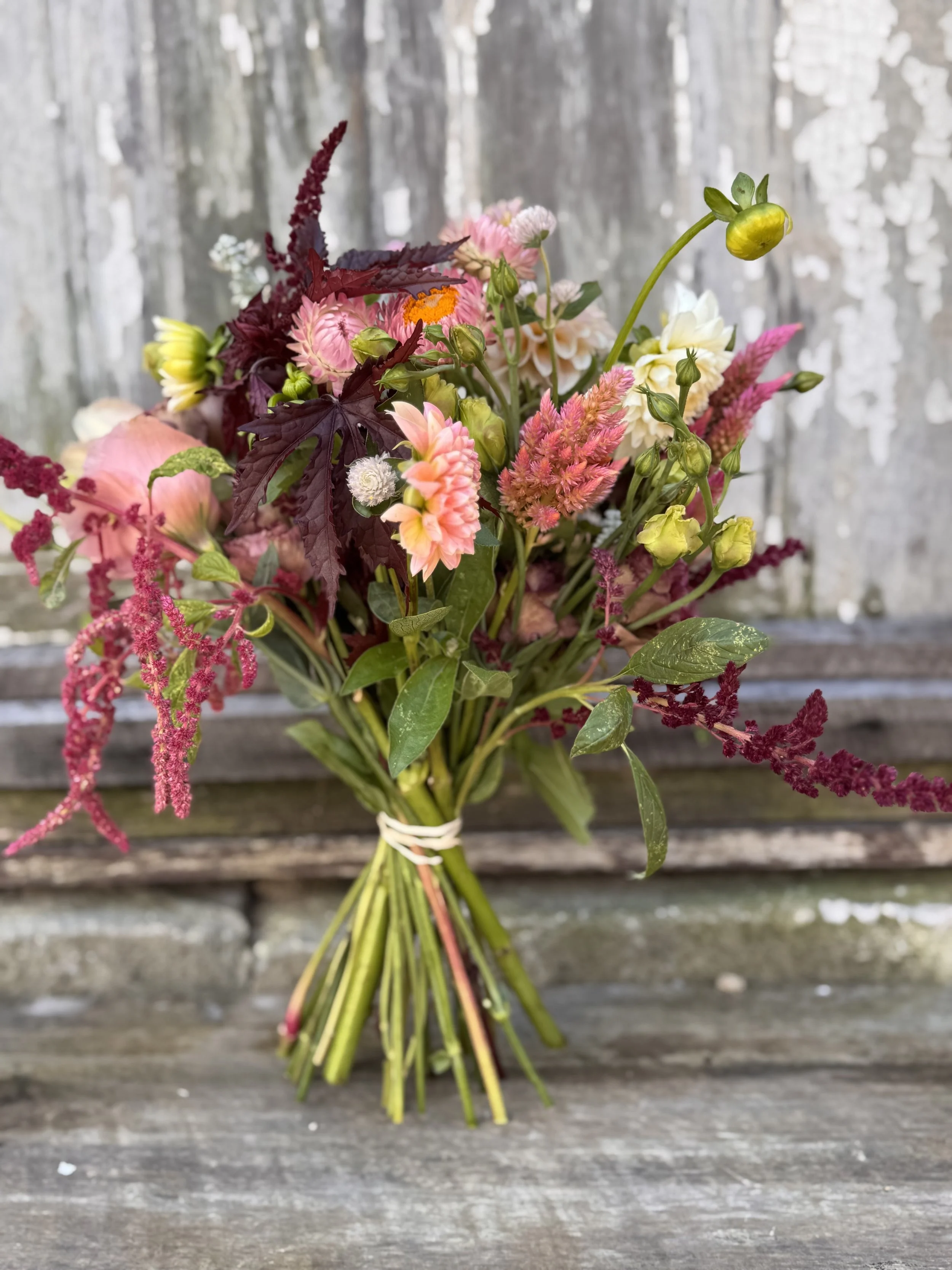 4 Week Bouquet  Subscription