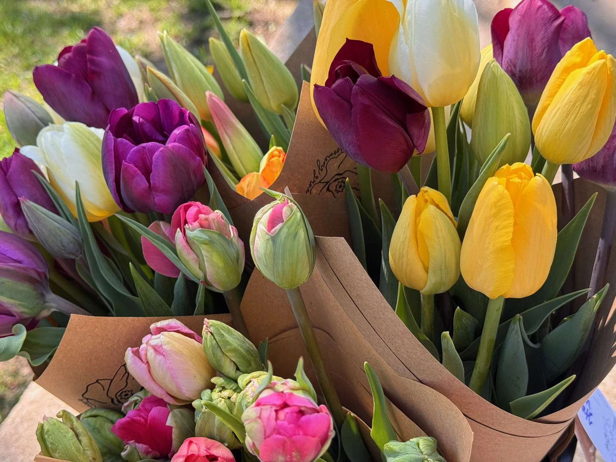Spring Bouquet Subscription