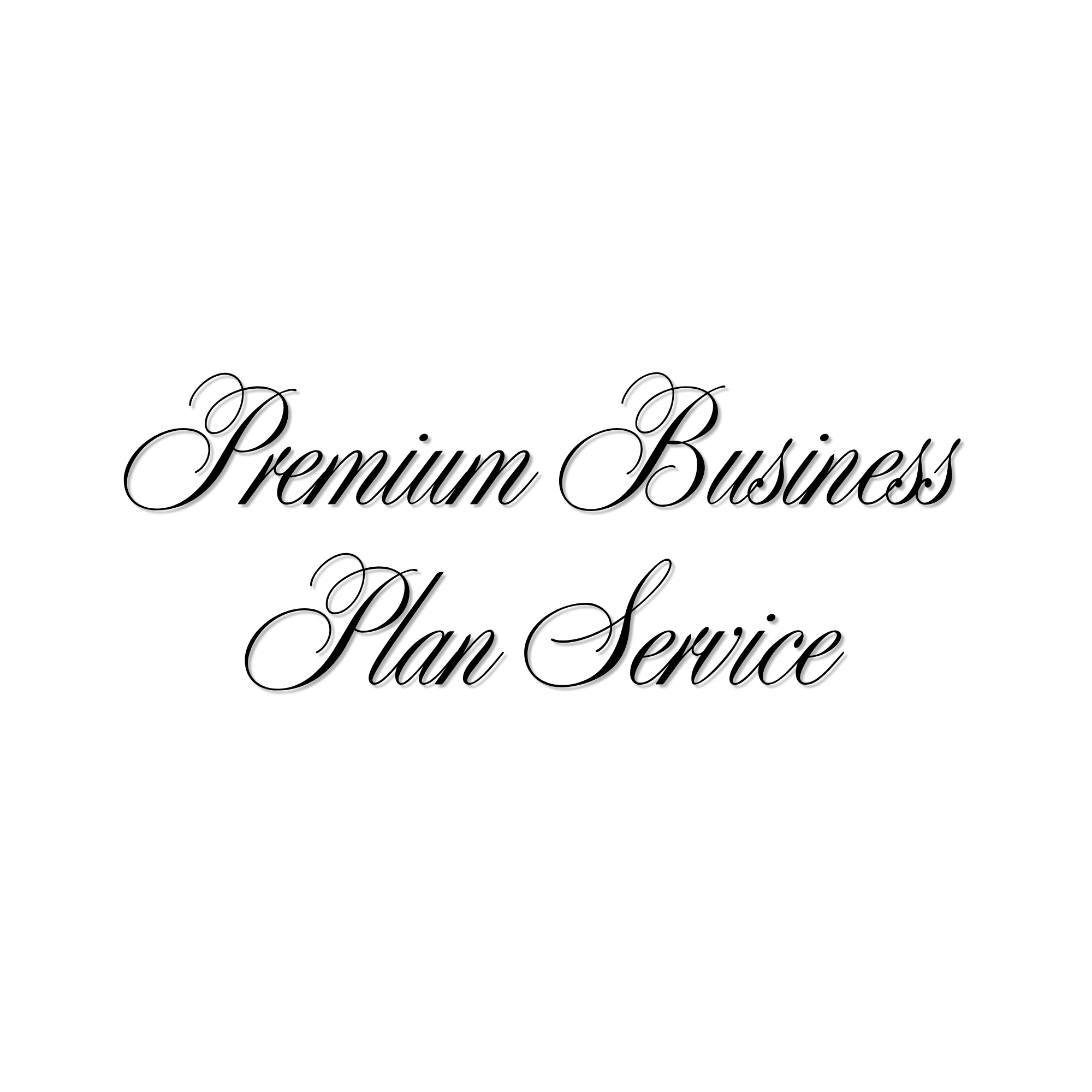 Premium Business Plan Service