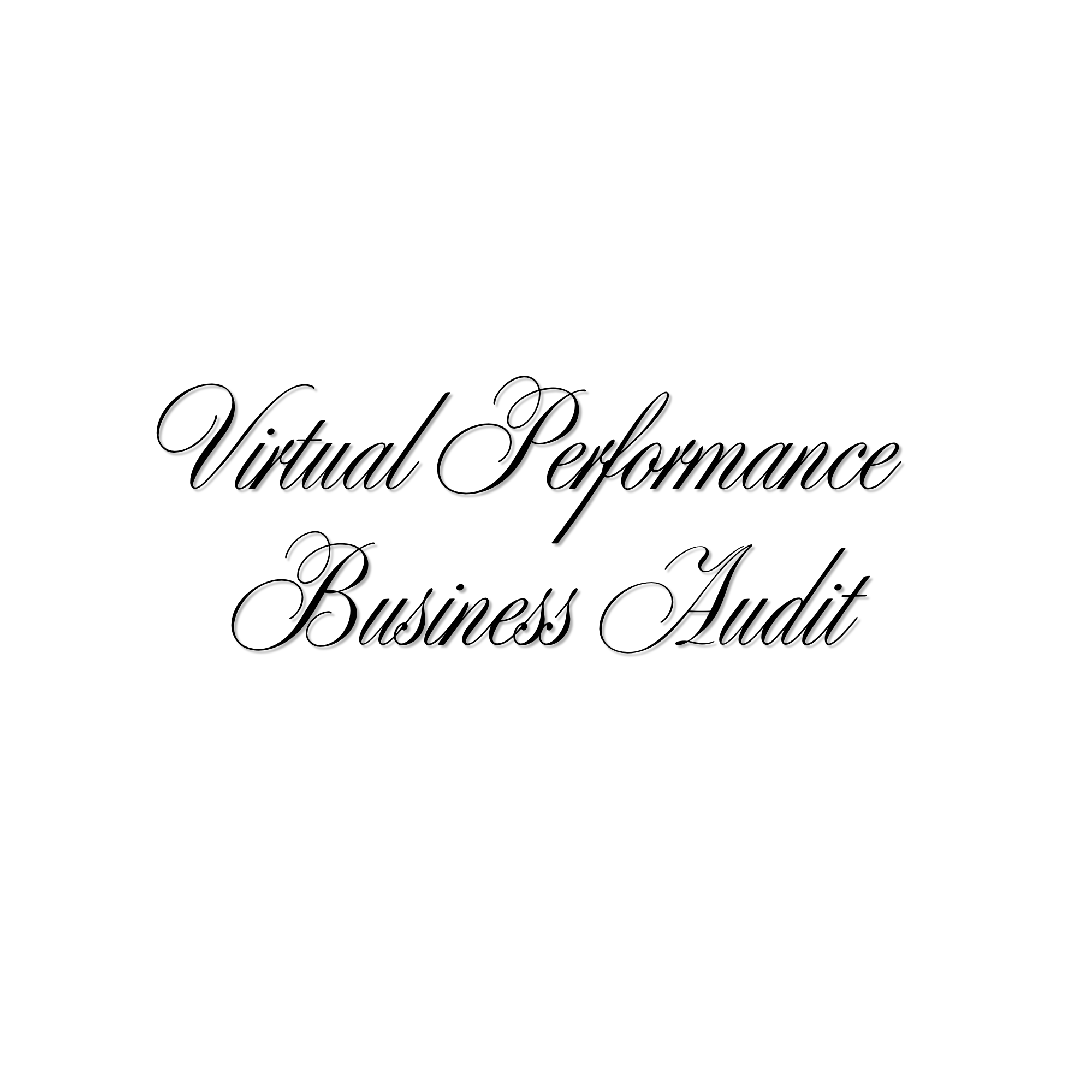 Virtual Performance Business Audit™ + Strategy Intensive