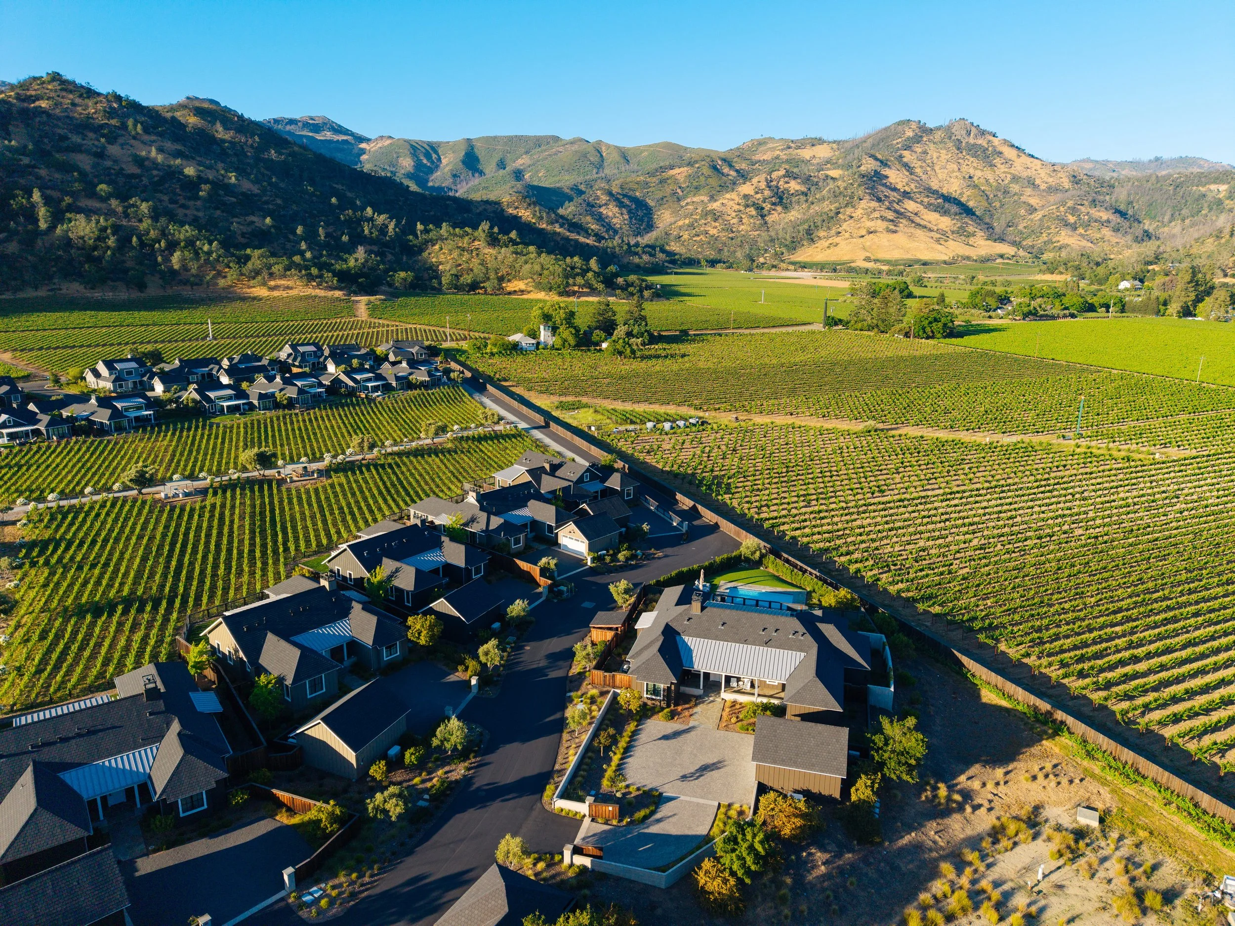 Aerial view of a residential neighborhood near vineyards and mountains under a clear blue sky.