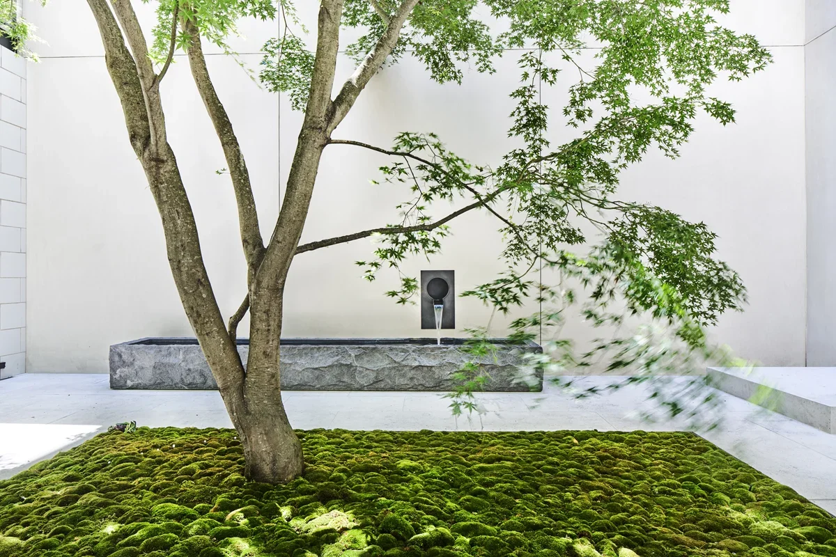 KHOYT_060706_residence_shot07.jpg.webp