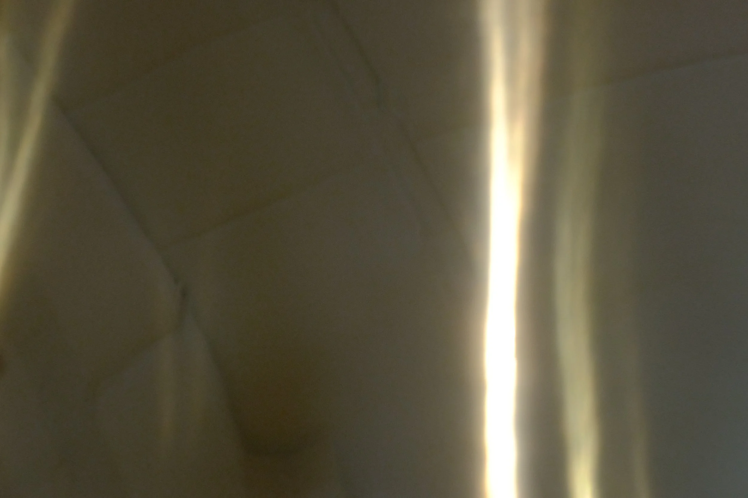 DSCF2665.JPG
