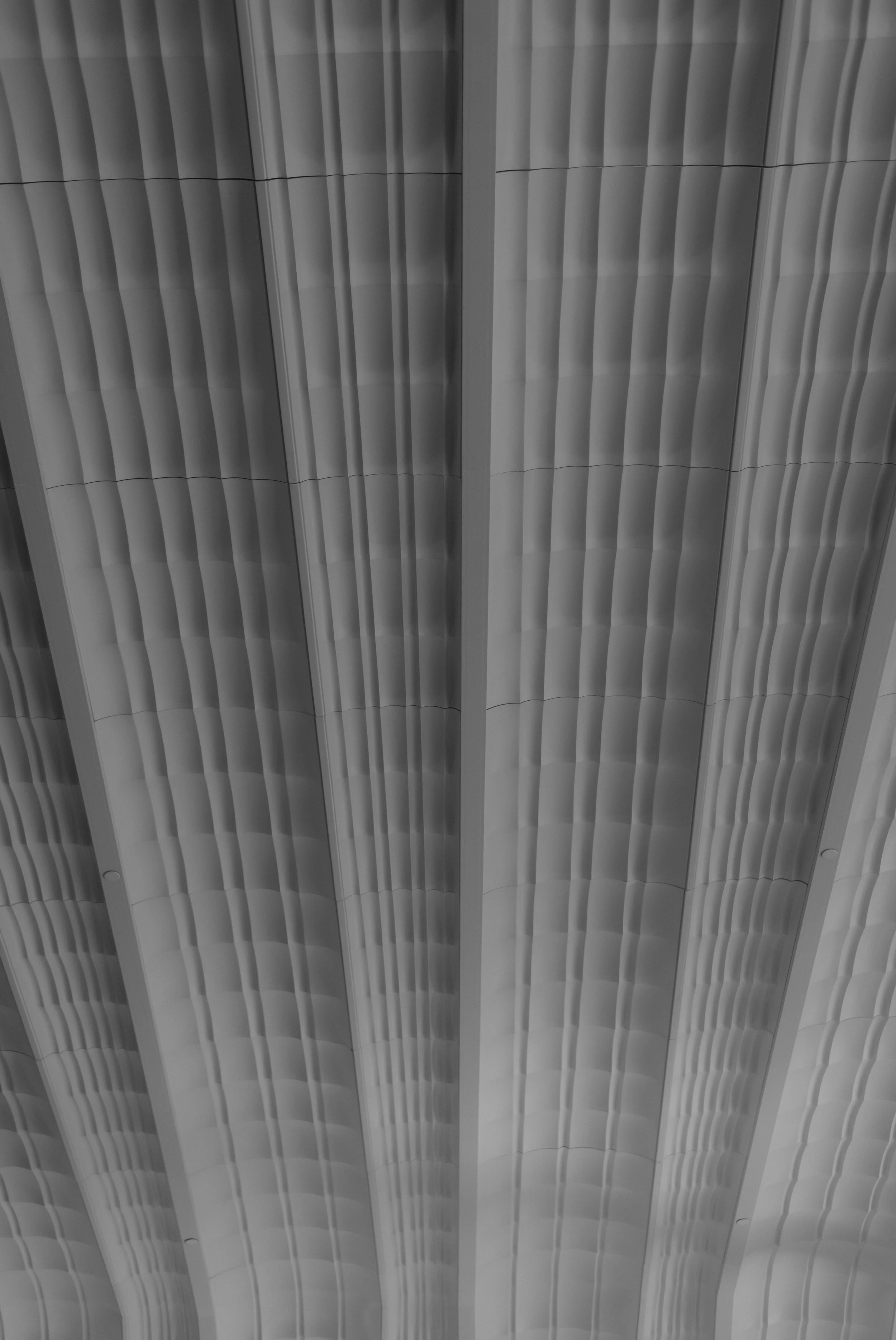 DSCF2678.JPG