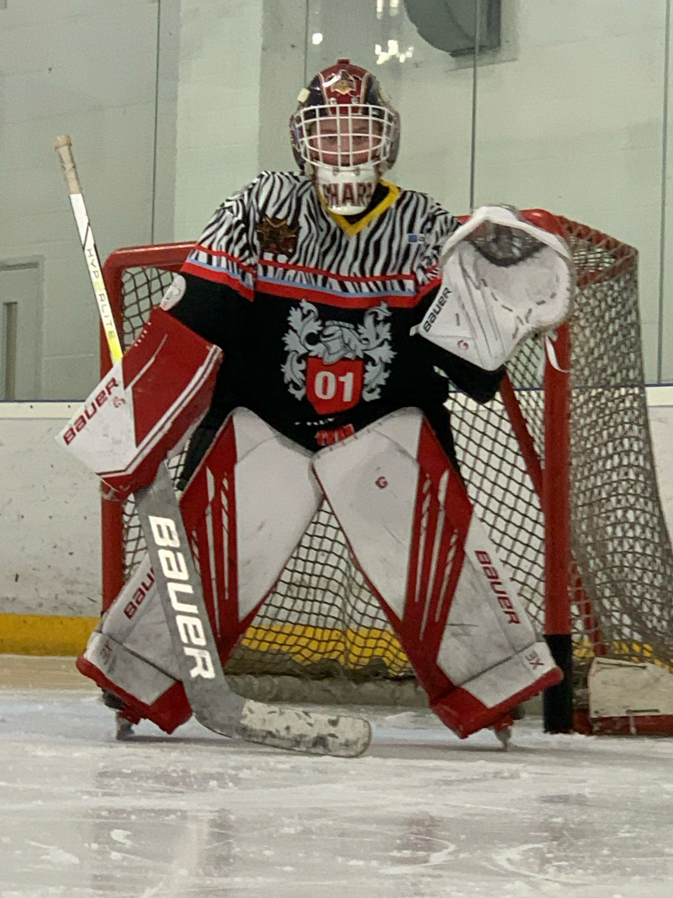 Ice hockey goalie in full gear standing in front of the goal net on an ice rink.