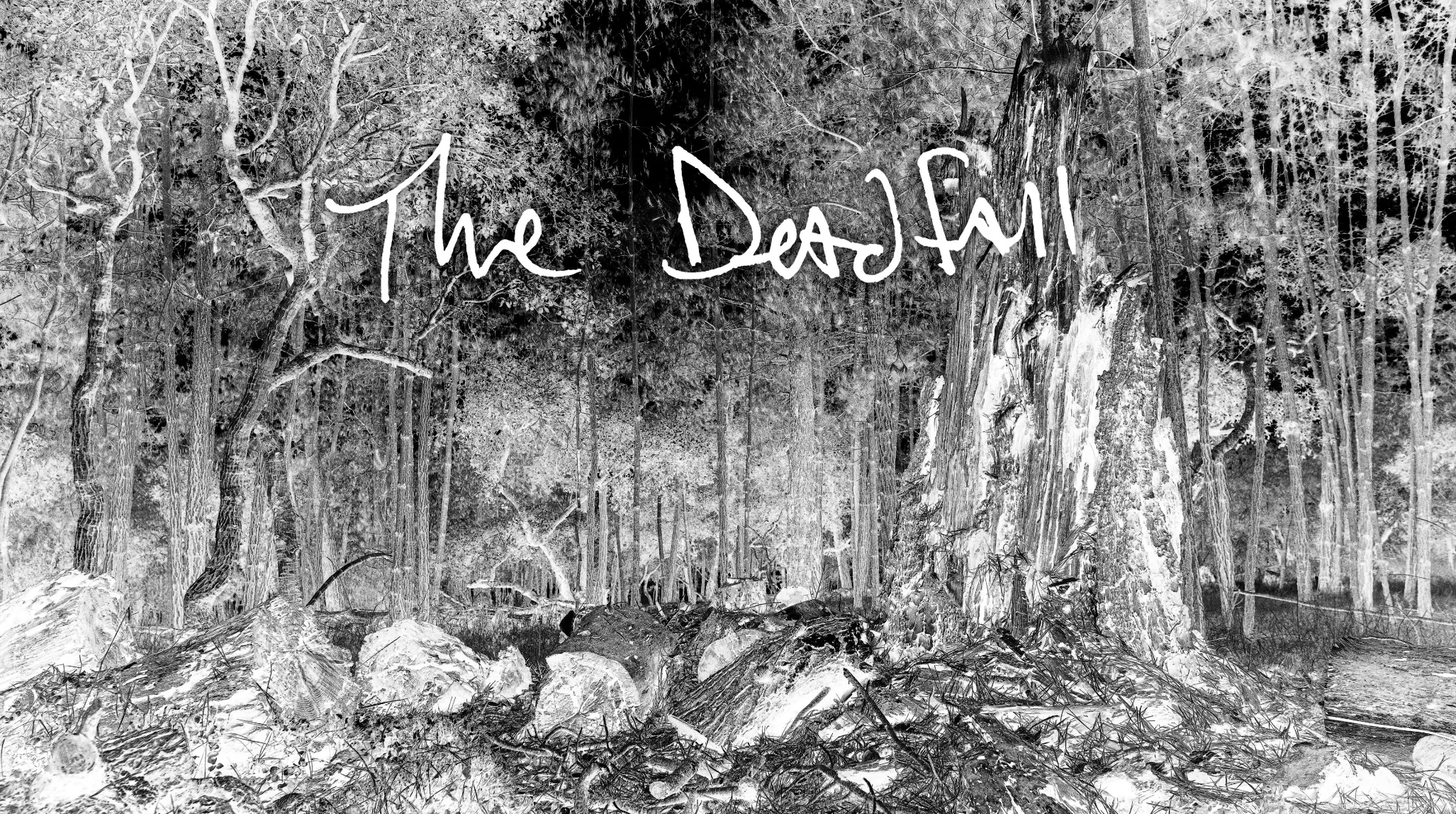 Black and white photo of a forest with the words "The Descent" written across the image in white handwritten font.