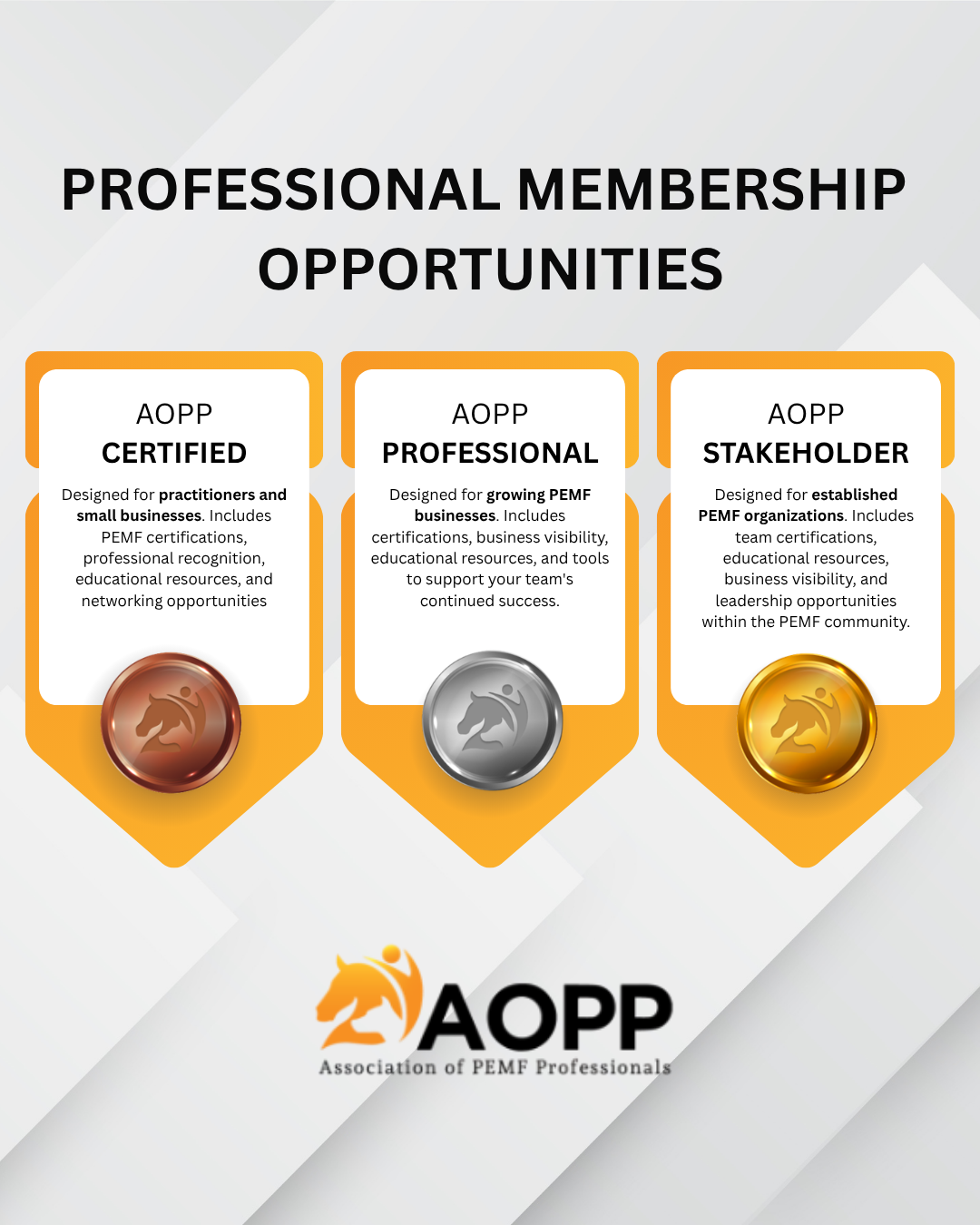 Example of Evergreen Content. Repurposing materials from website for more engagement on Instagram. 

Created for AOPP on behalf of Virtual, Inc. 