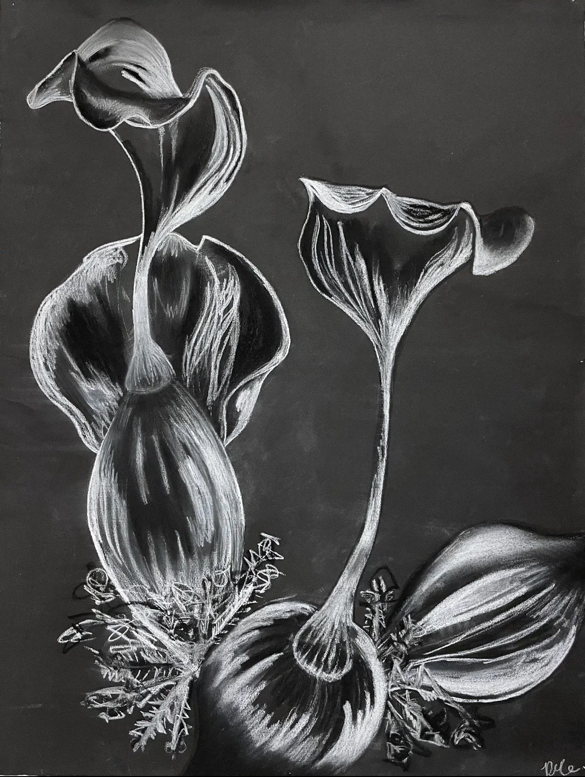 Black and white drawing of flowers with detailed petals and stems on a dark background.