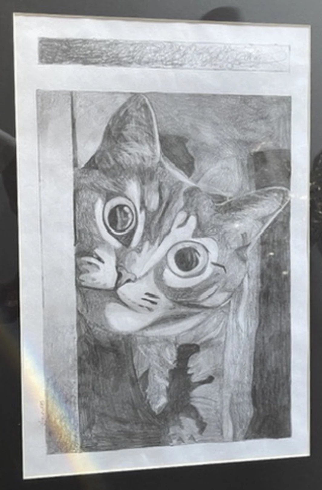A detailed pencil sketch of a cat with large eyes, lying down with a fish in the background.