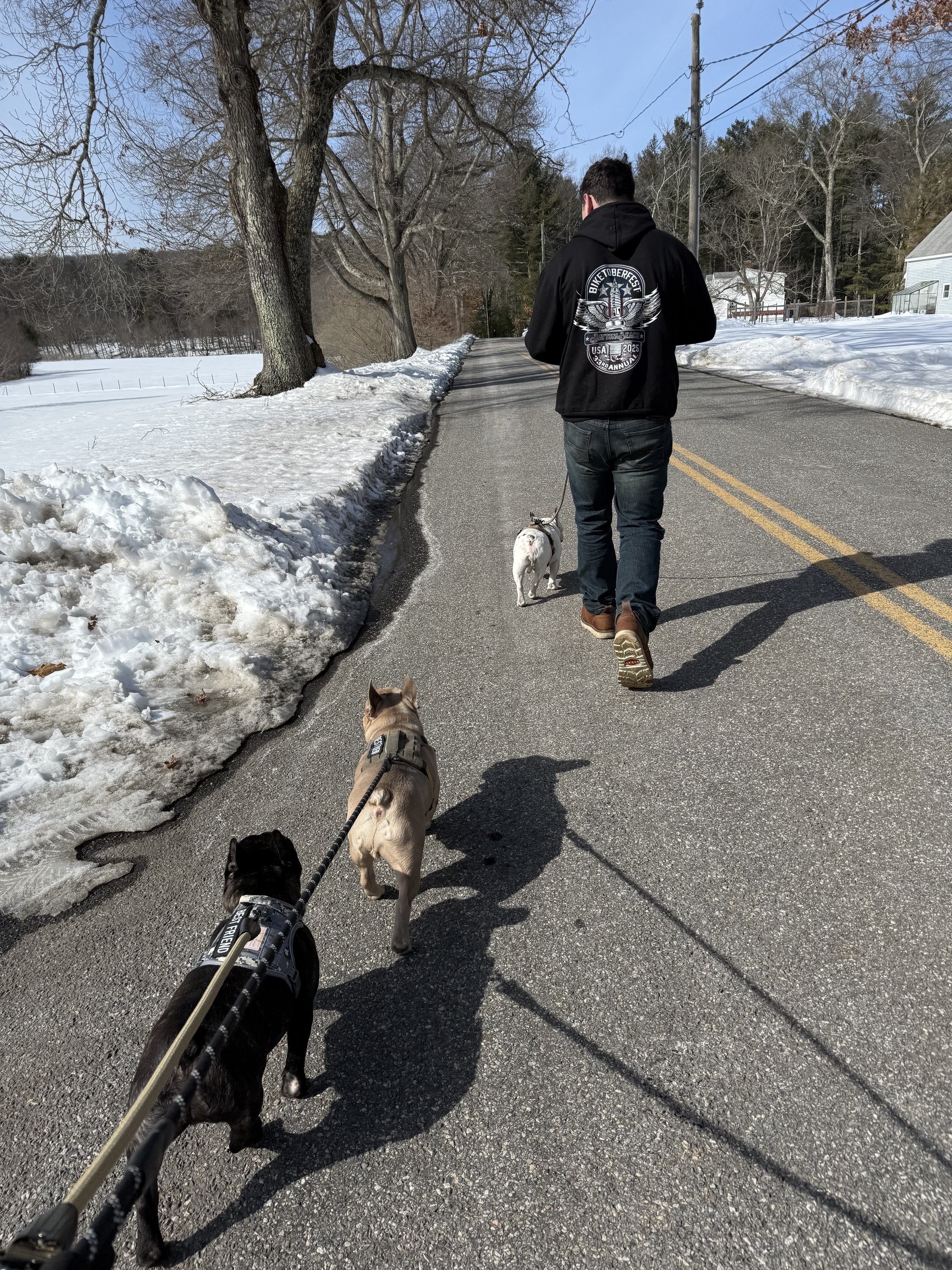 A person walking on a snowy road, with three dogs. Black, tan, and white French Bulldog. 