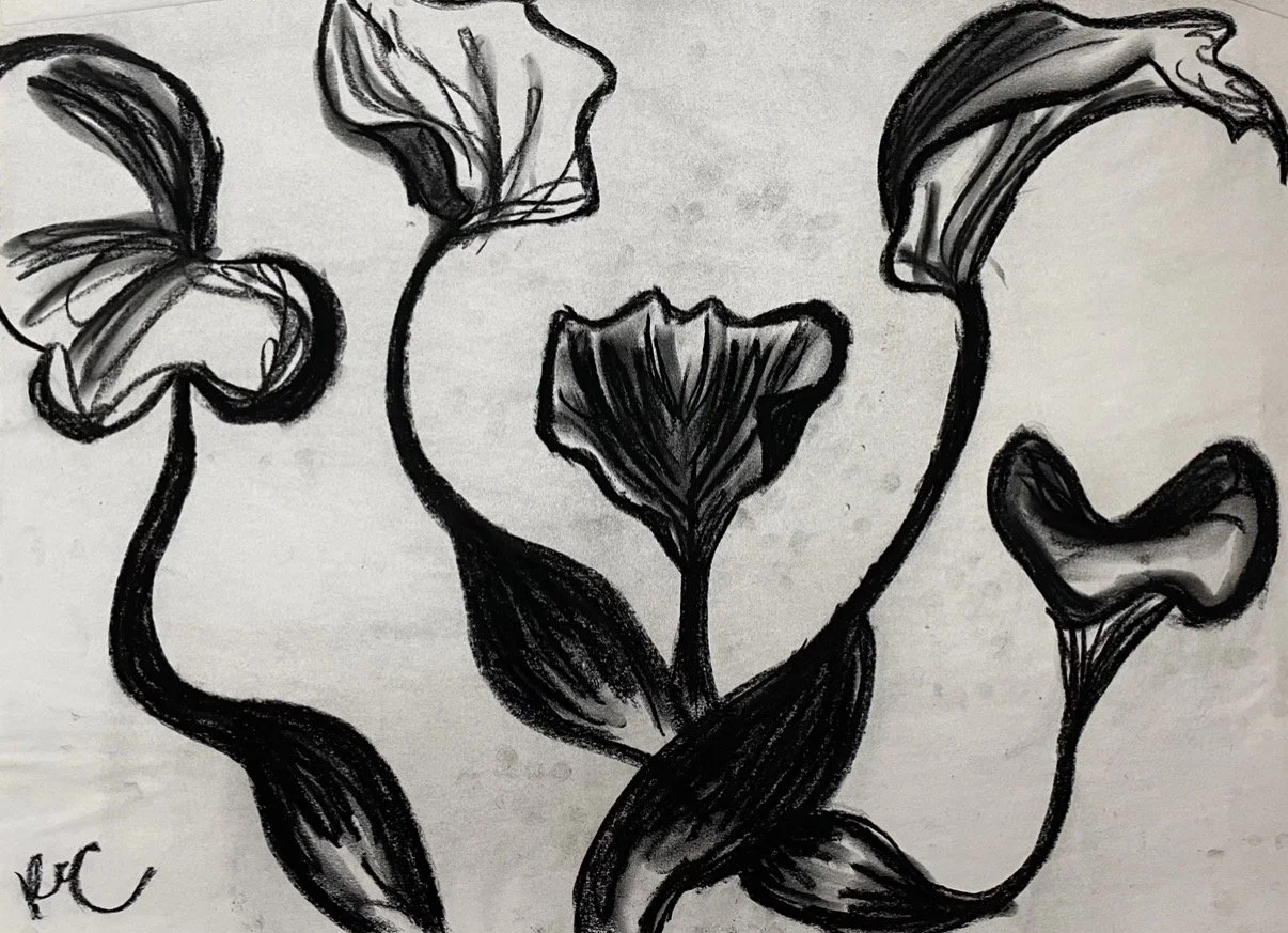 Black and white charcoal sketch of pond plant flowers with large petals and curvy stems.