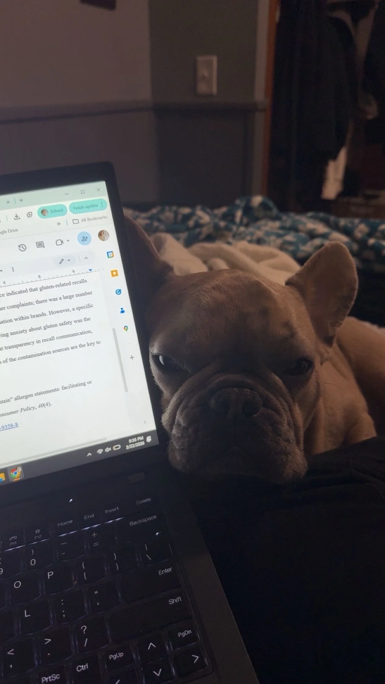 Close-up of a dog resting its head on a laptop keyboard with a person in the background and a bed with blue and white patterned bedding.