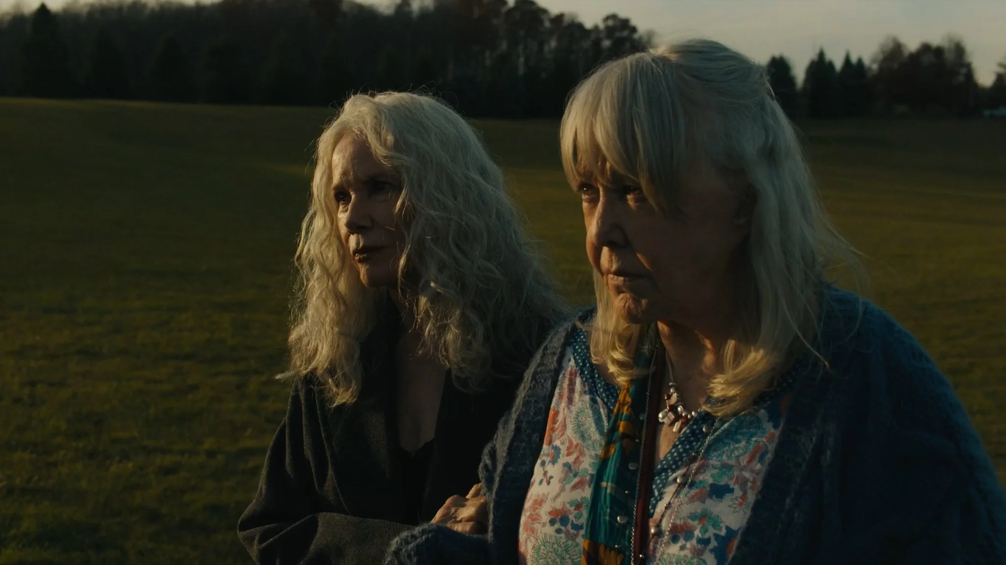 Still 2025-10-03 123229_1.1.10.jpg