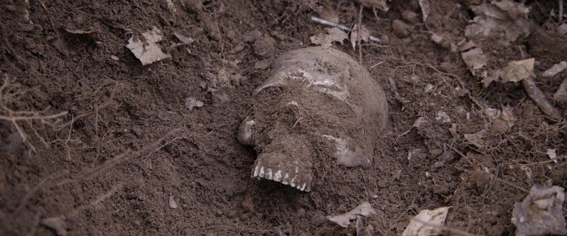 Screenshot 2026-02-14 at 10.22.12 AM.jpg