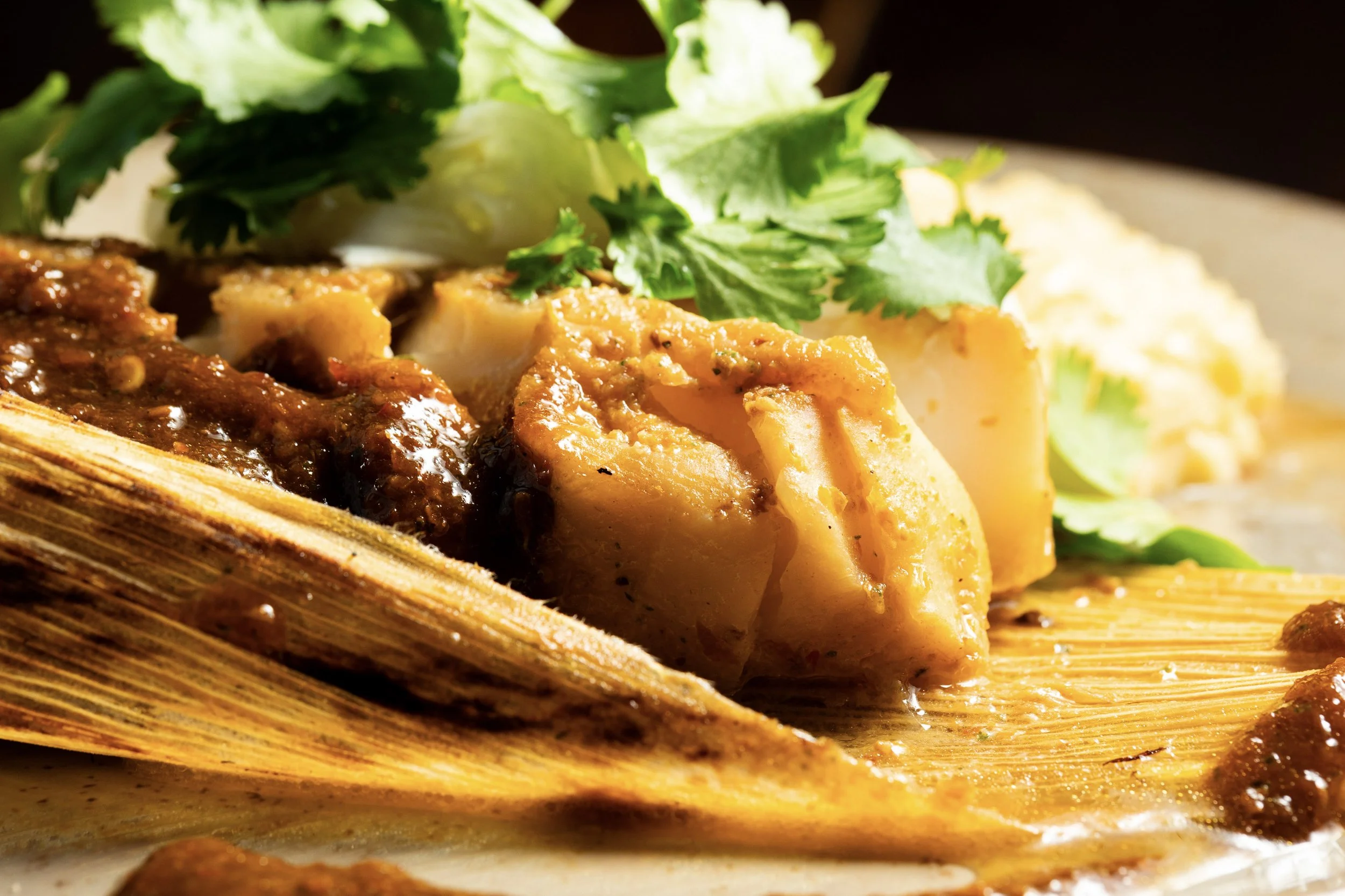 Close-up of grilled fish with herbs and lettuce on a plate.