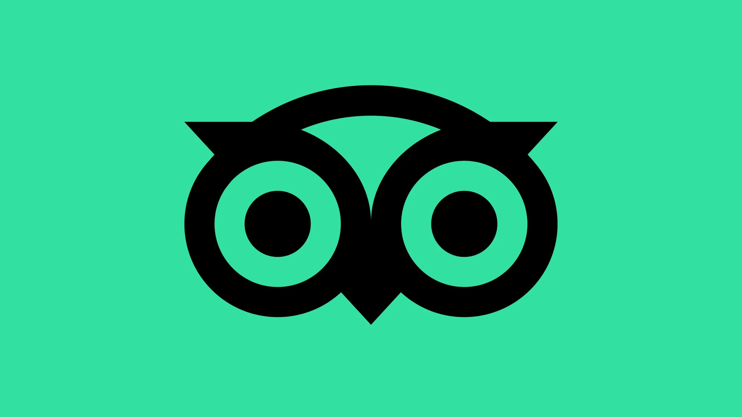A stylized black owl face with large circular eyes and pointed ears, on a teal background.