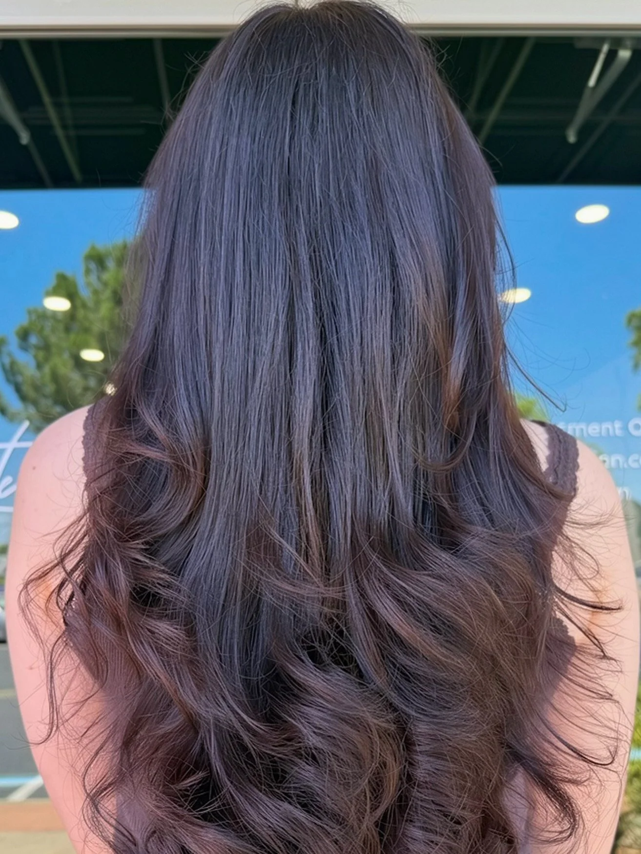 Back view of a woman with long, wavy hair that is dark at the top and gradually turns purple and pink towards the ends.