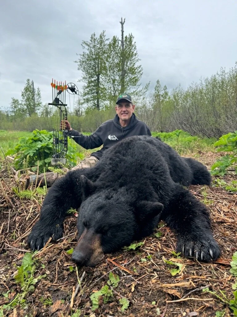 A man sitting behind a large, dead black bear lying on the ground in a forested area, holding a bow and arrow.