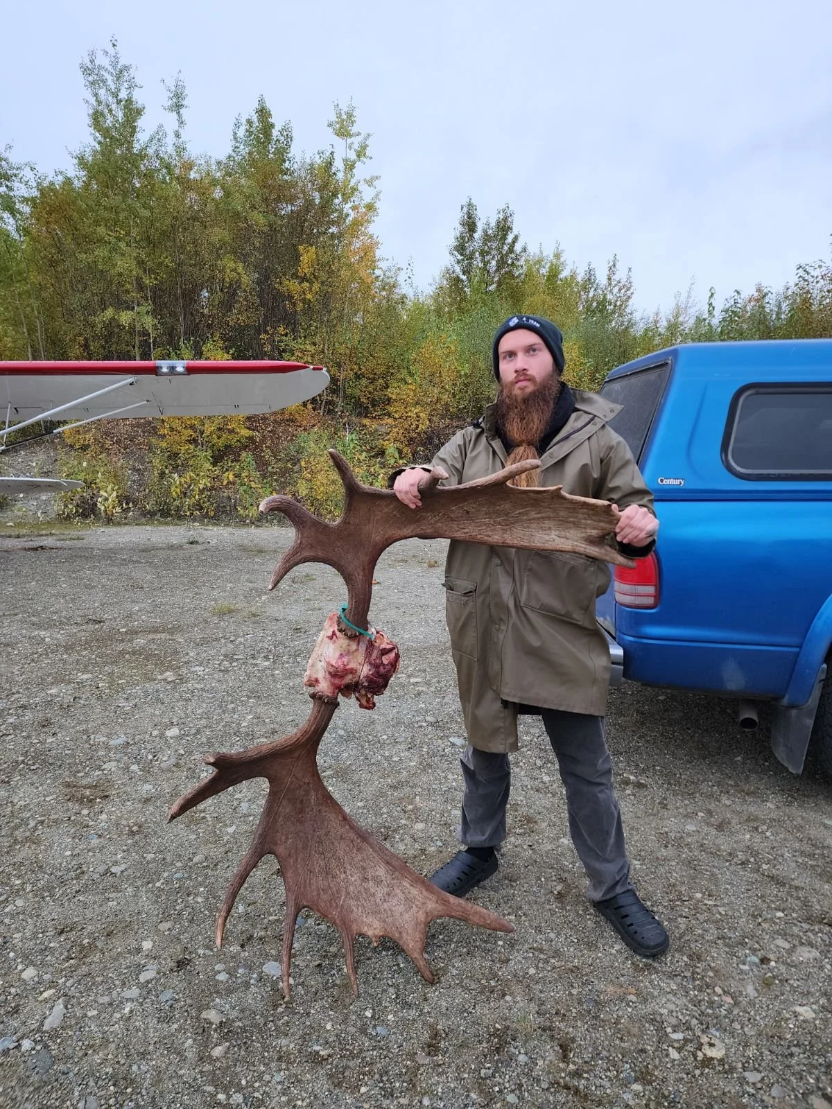 A man with a beard, wearing a black beanie and outdoor clothing, holding a large antler with a piece of meat attached, standing in a gravel area next to a blue truck with a canopy. In the background, there are trees with fall foliage and a red and white boat.