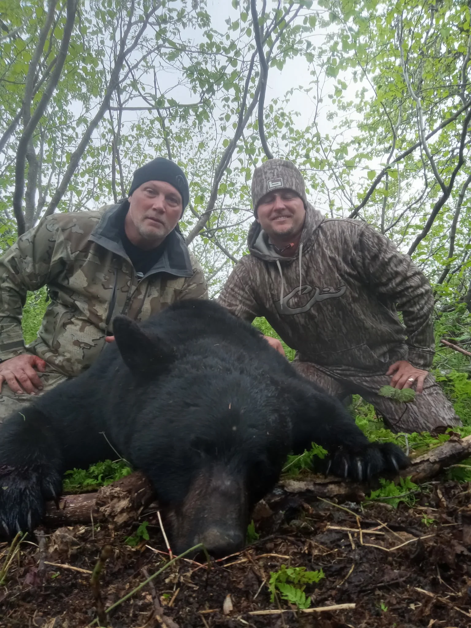 Two men in camouflage and outdoor clothing crouching behind a large black bear, outdoors in a forested area with green leaves.