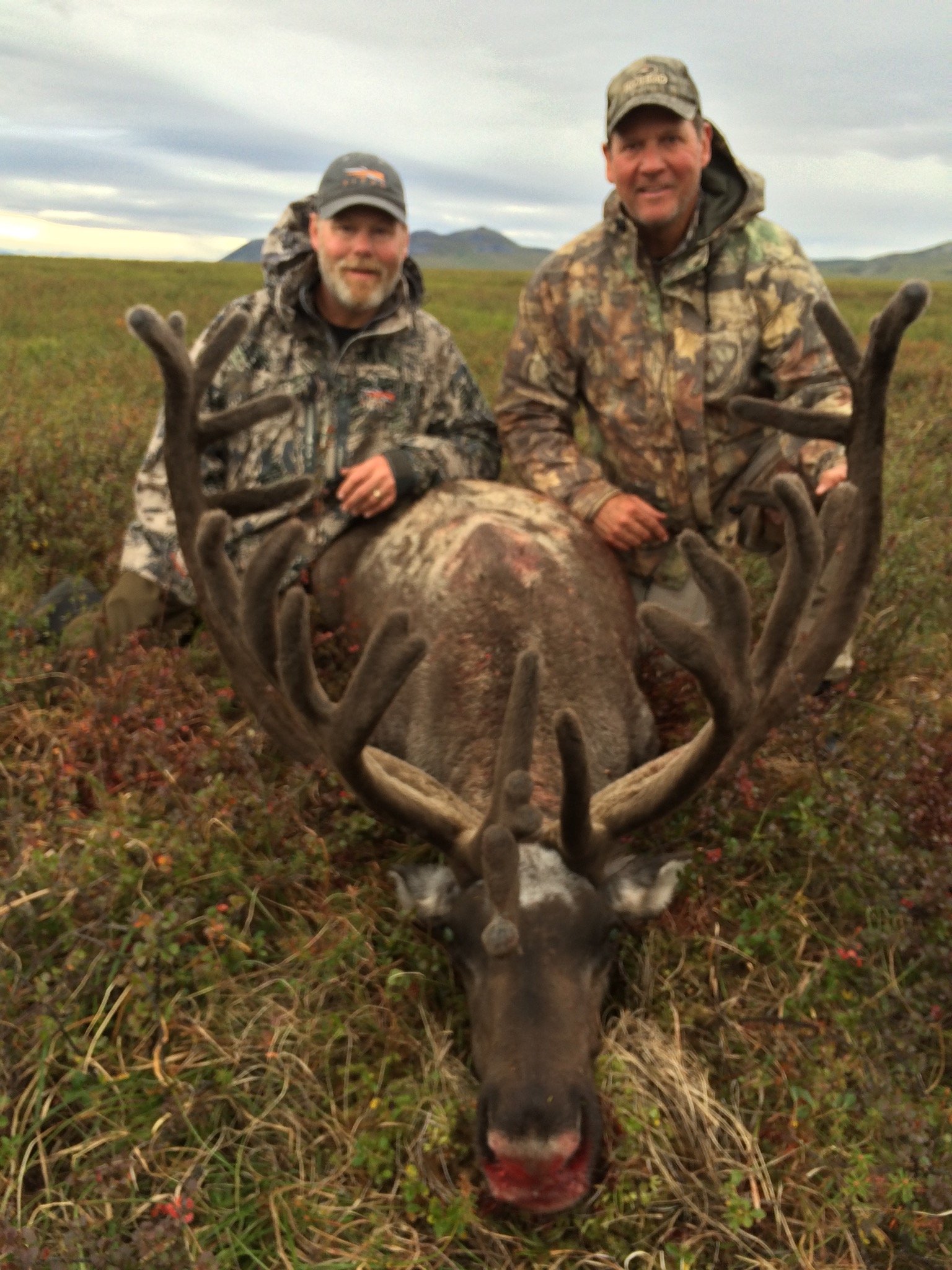 Two men in camouflage jackets and caps kneeling behind a large, dead reindeer with impressive antlers, in an outdoor landscape with mountainous terrain in the background.