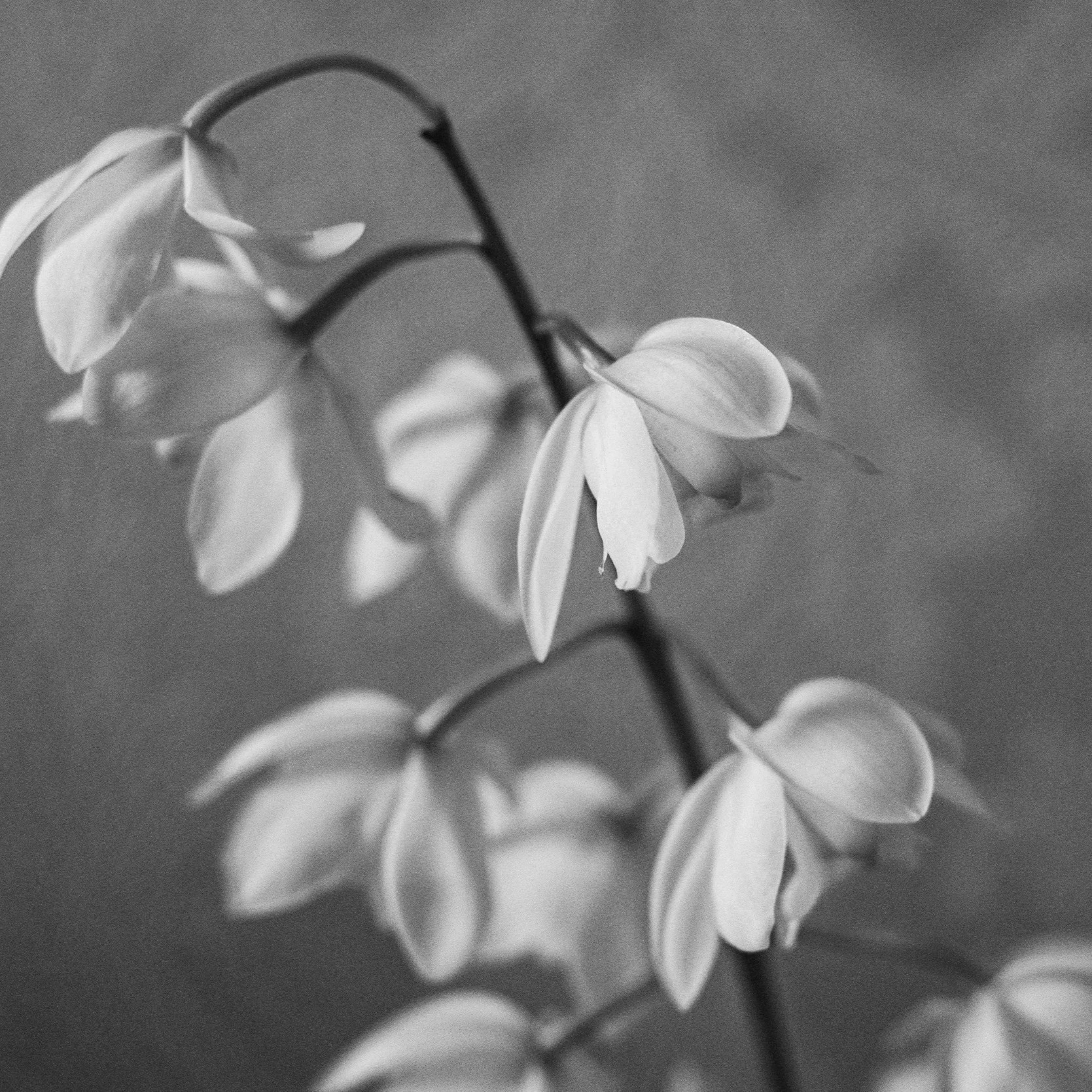 Fausse couche : ce que vivent vraiment les parents