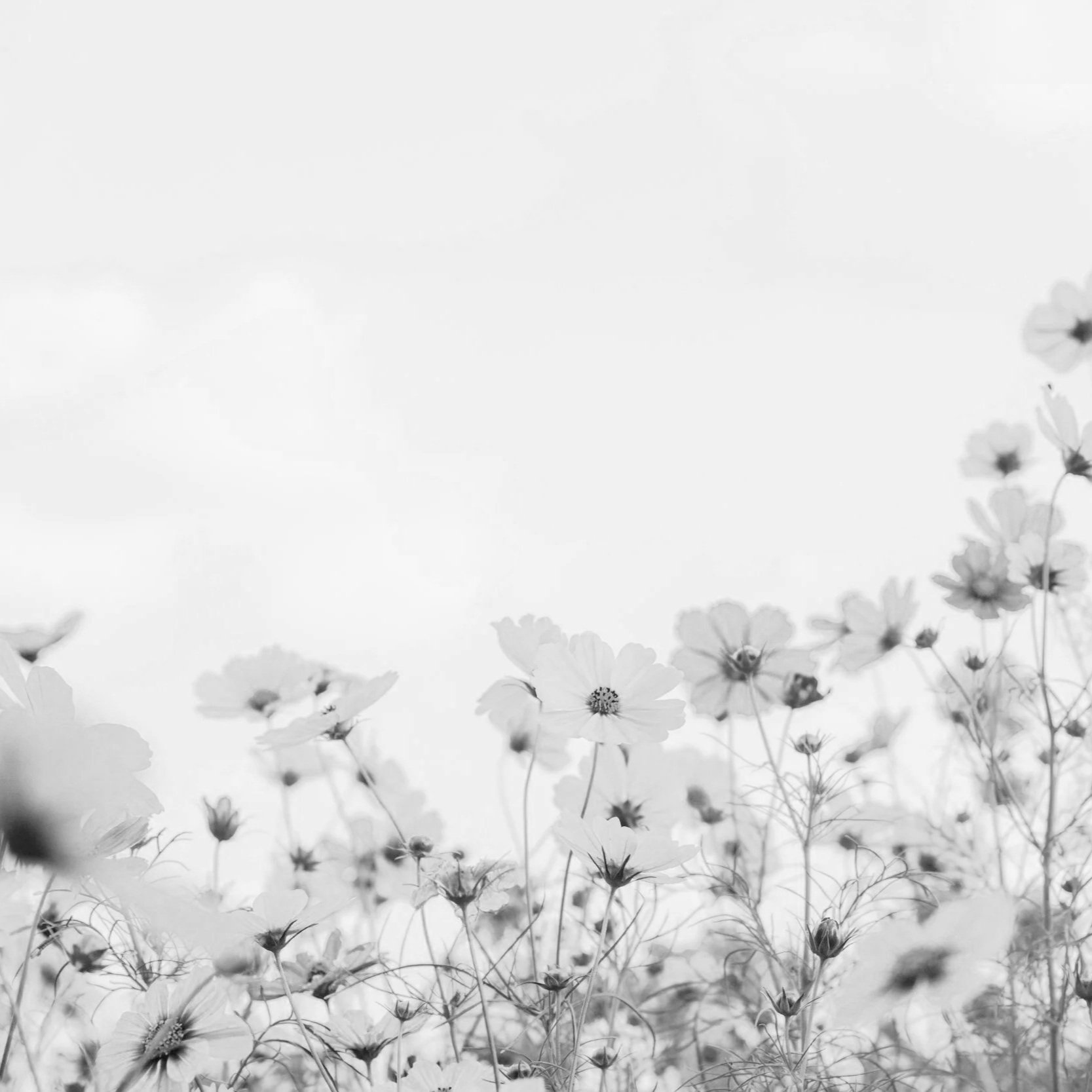 Deuil périnatal : comment parler de ta perte à tes proches