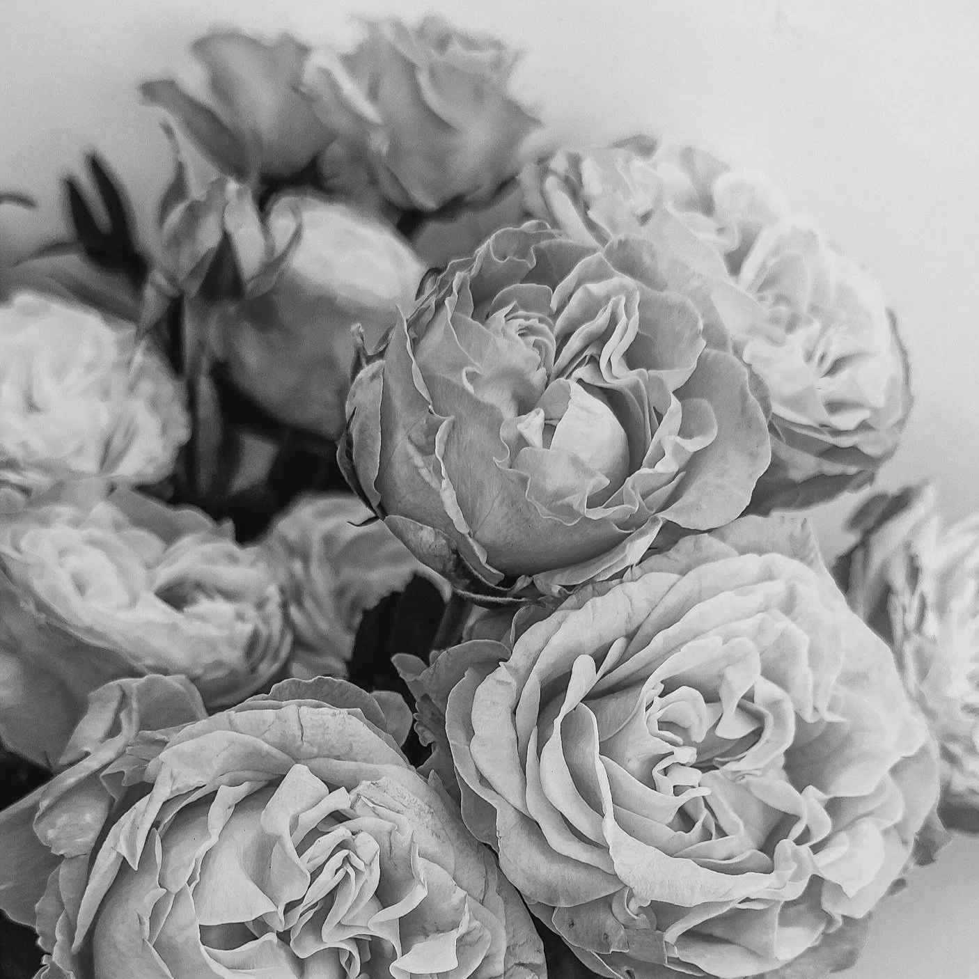 Soutenir un·e proche après une perte périnatale : ce qui aide vraiment