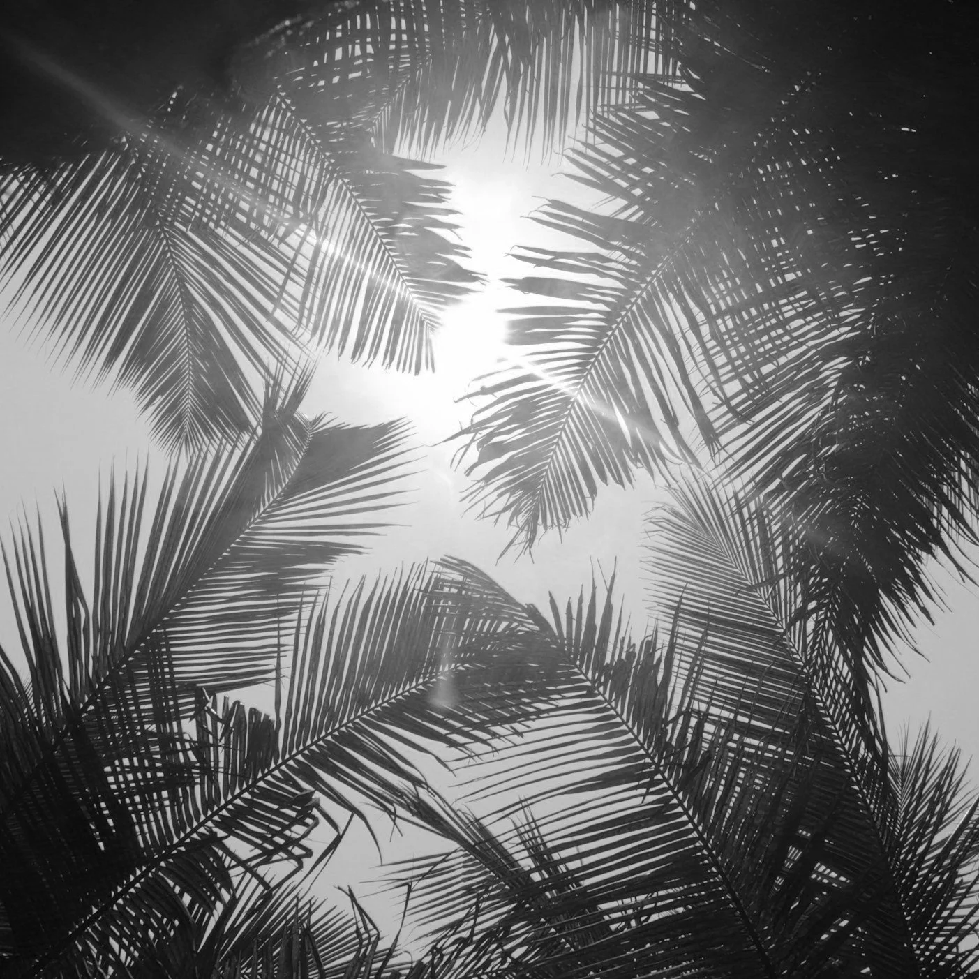 La sophrologie pour traverser le deuil périnatal