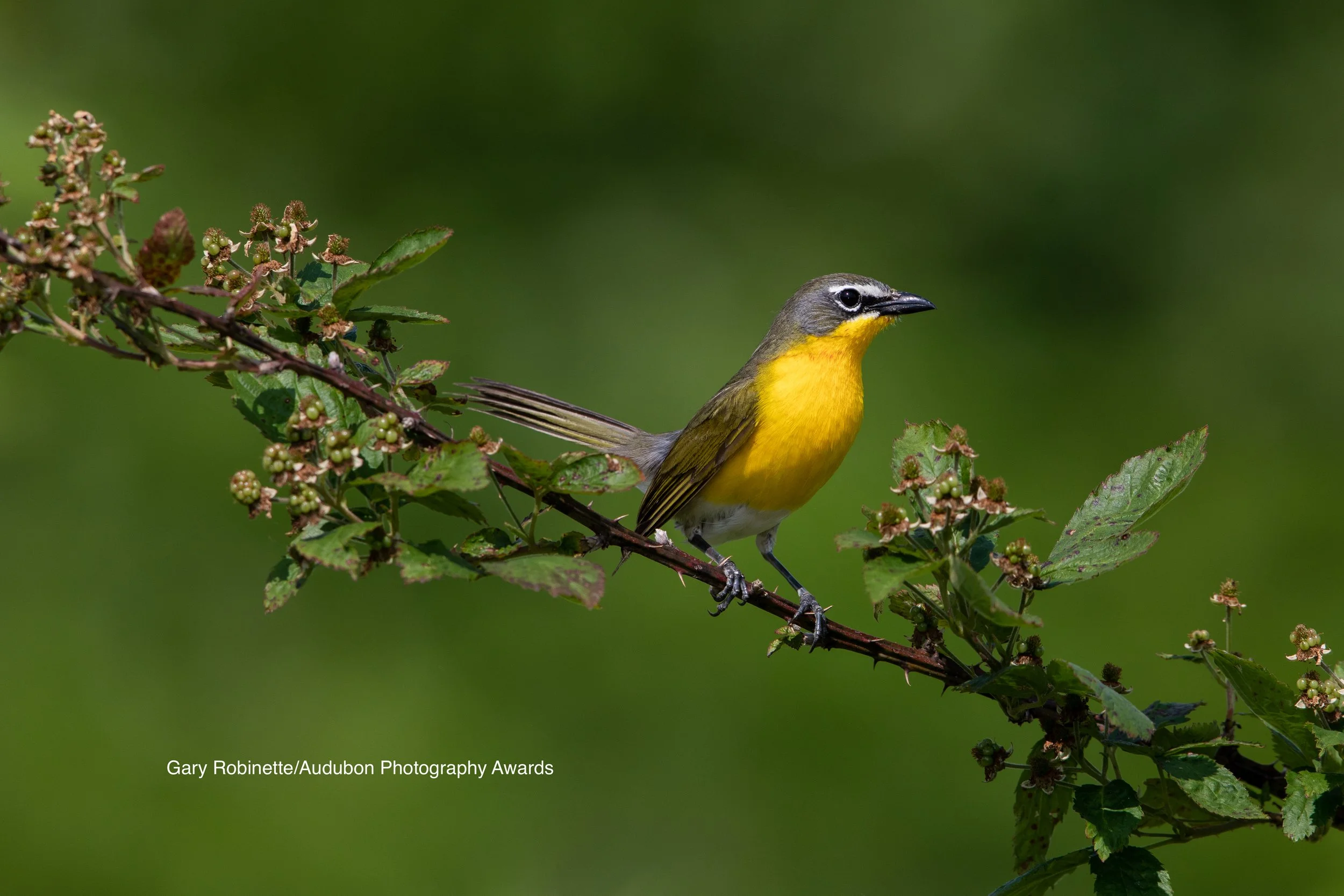 Tessentee Bottomland Preserve with Keith and Melanie Vickers