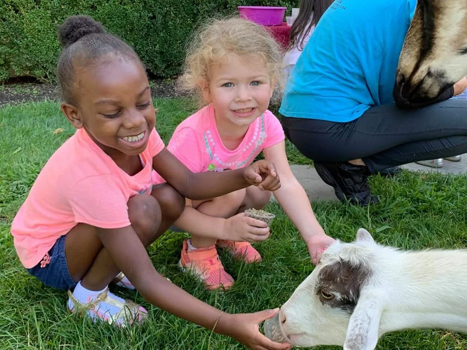 Two young girls squatting on grass, feeding a baby goat. One girl has dark skin,red hair, and is wearing a pink t-shirt and denim shorts. The other girl has light skin, blonde curly hair, and is wearing a pink shirt. An adult in a blue shirt is partially visible, and there are trees and bushes in the background.