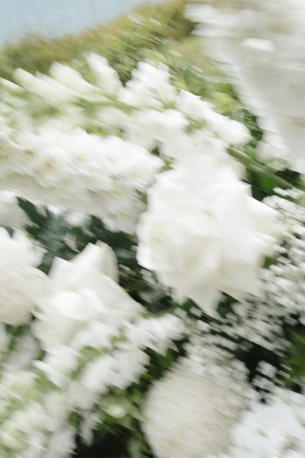 C&J (9 of 60)_websize.jpg