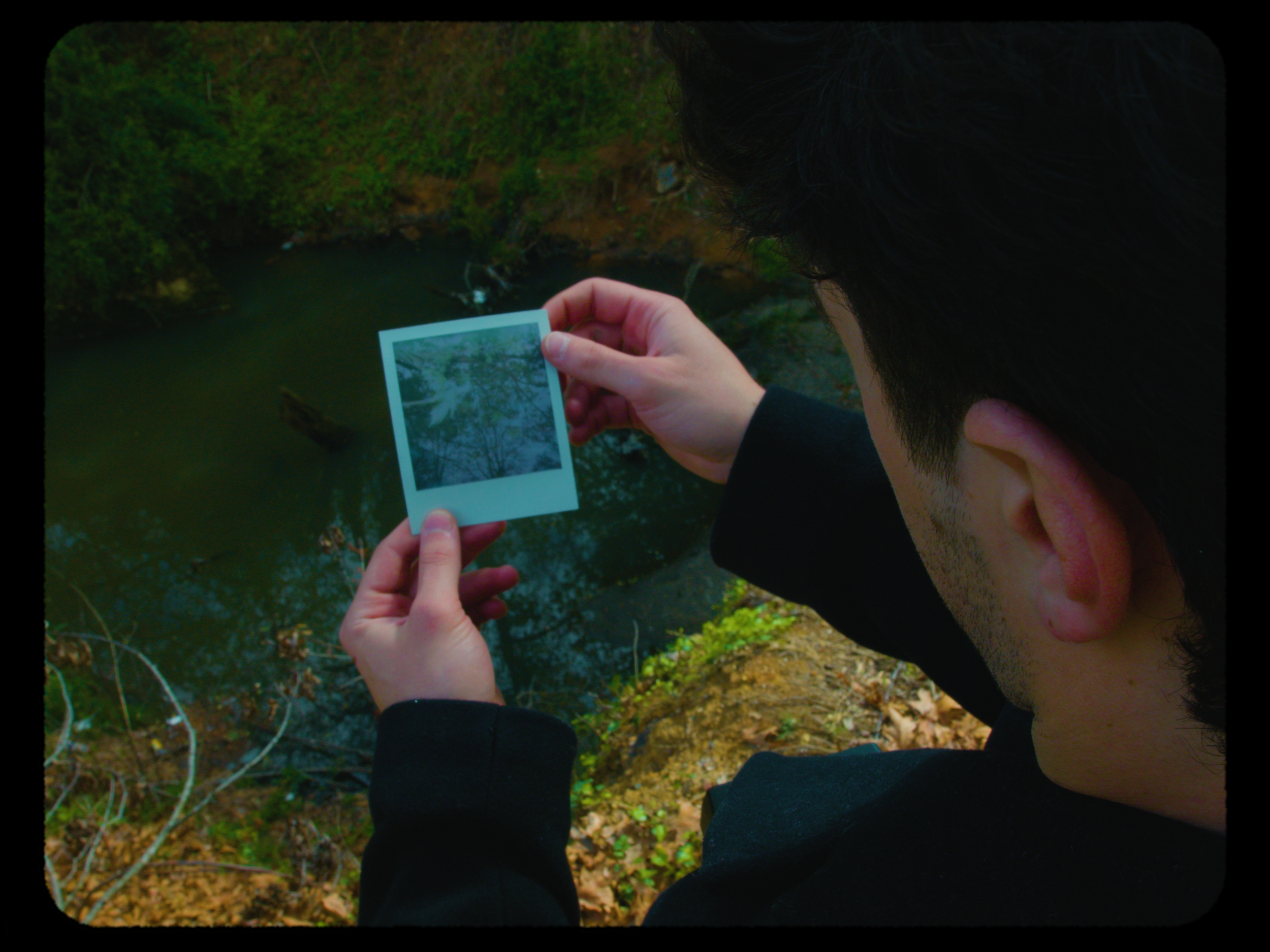 Person holding a polaroid photograph of tree branches over a river or creek, standing outdoors in a forested area.