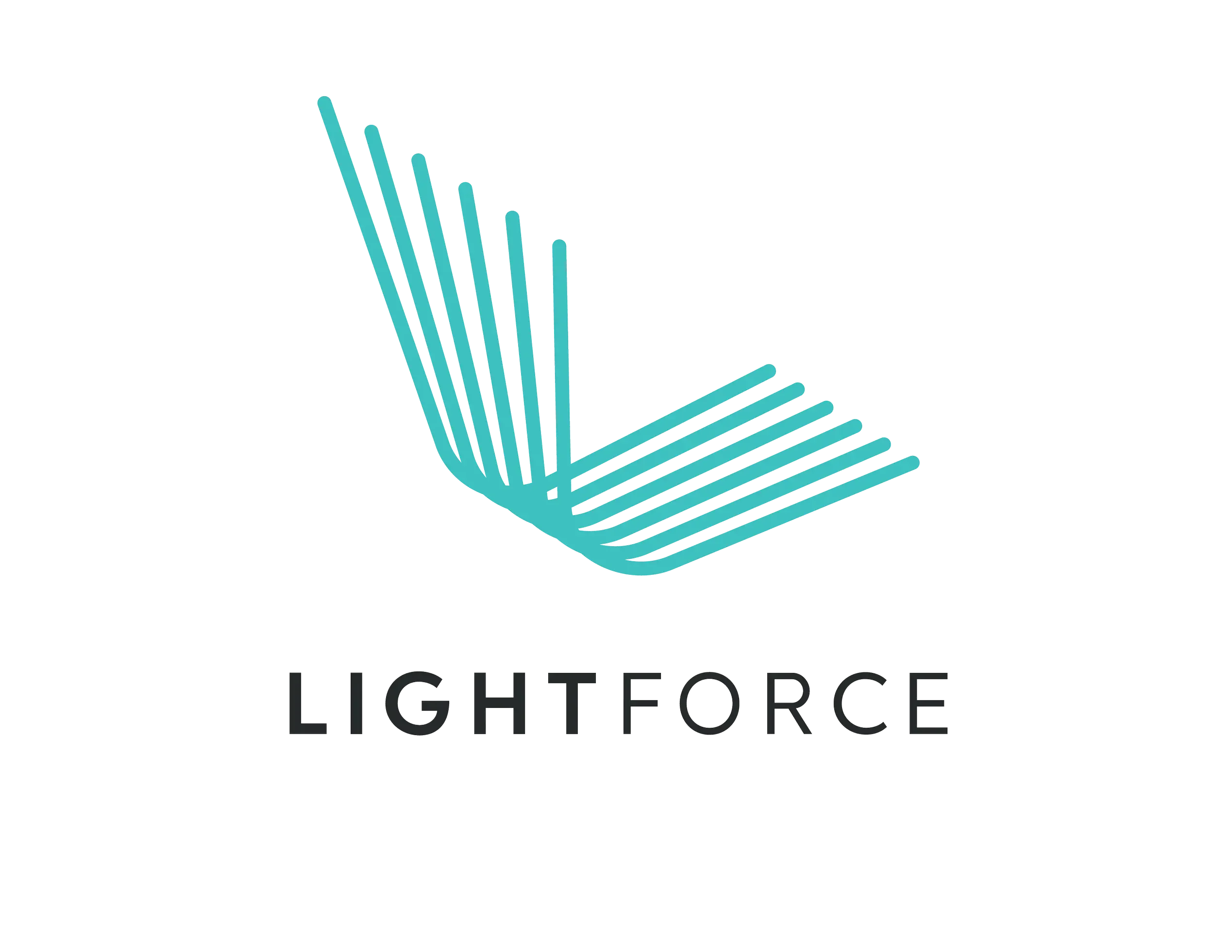Logo for Lightforce with a stylized blue starburst or light burst design and the word 'LIGHTFORCE' below in gray capital letters.