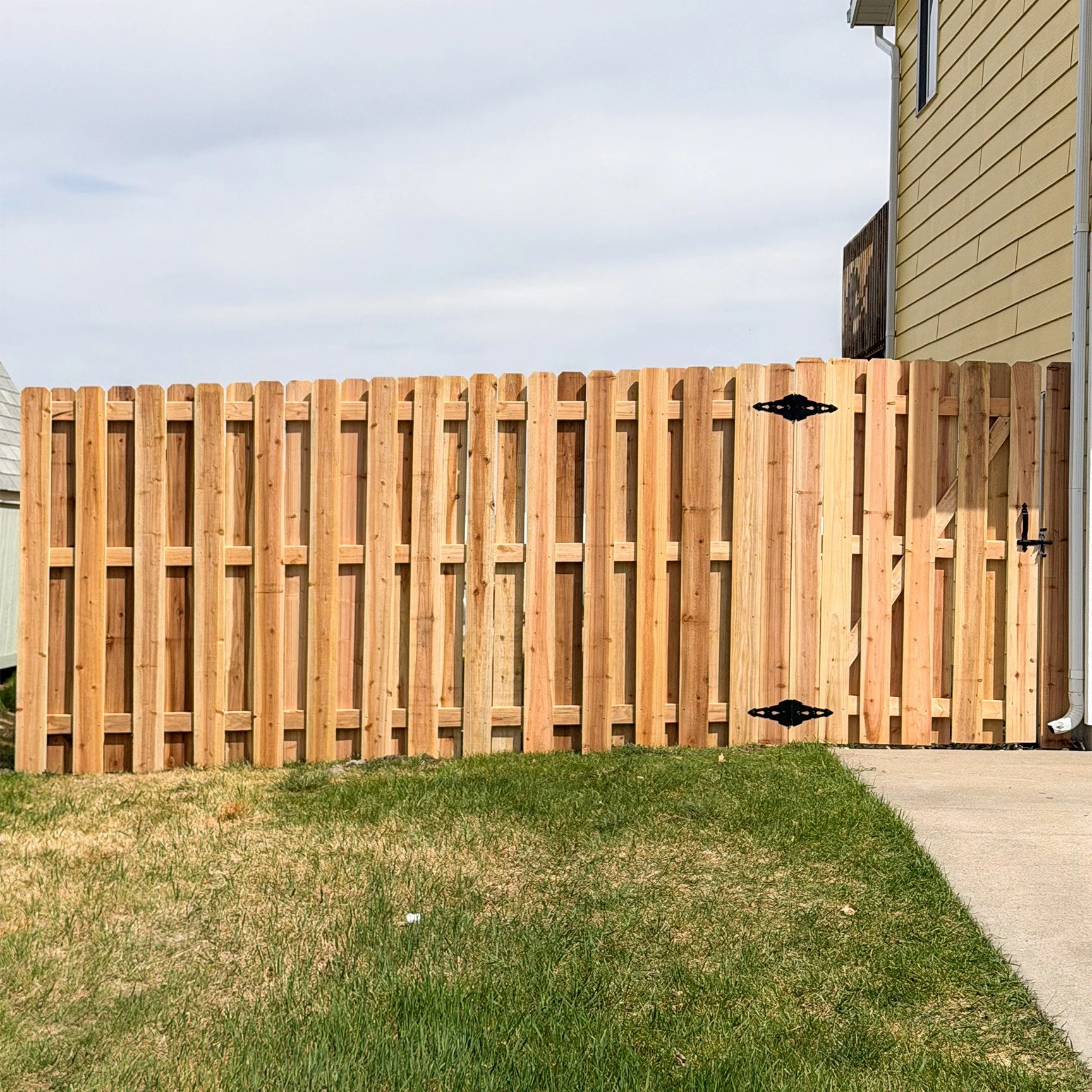 Wooden backyard fence with a house on the right and grass and concrete sidewalk in the foreground.